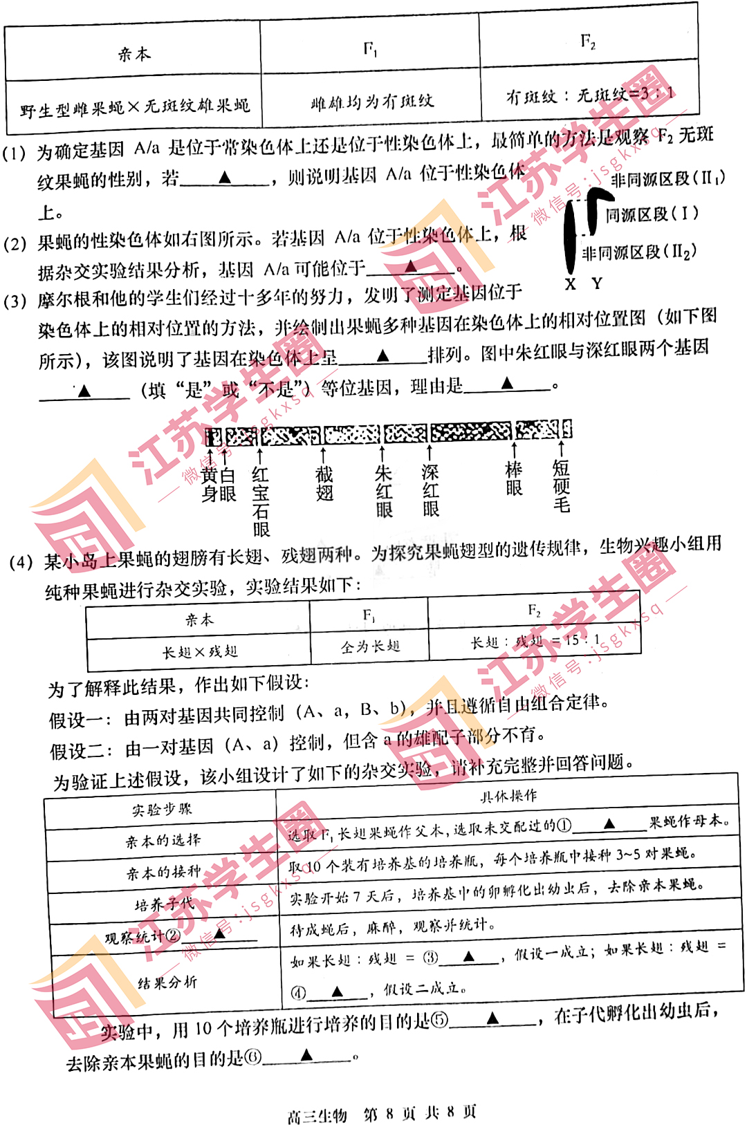 2023南通如皋高三适应性考试生物试题