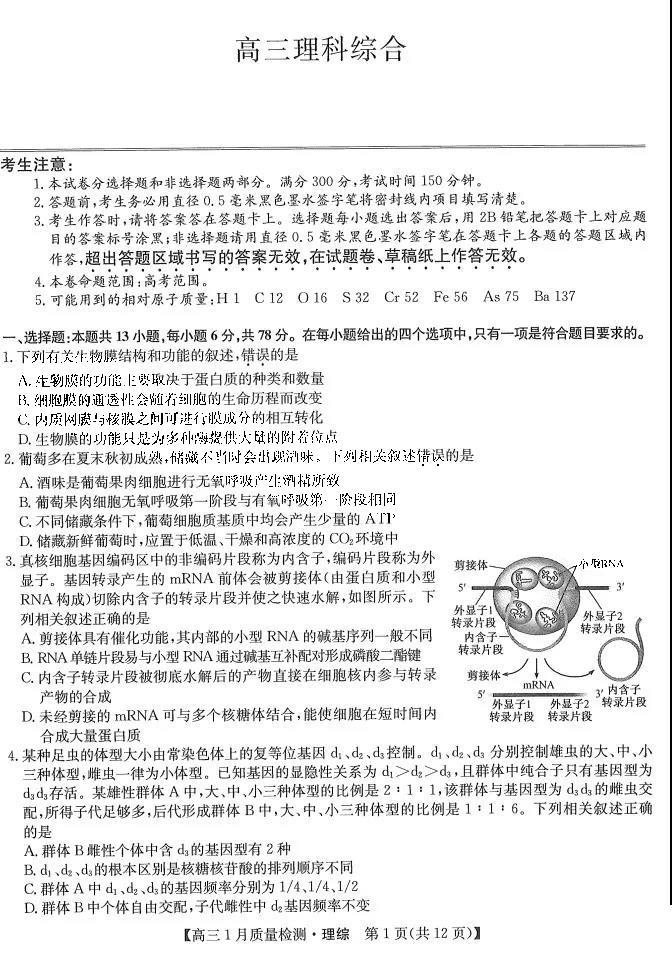 九师联盟2022届高三1月质量检测理综试题（全国卷）1