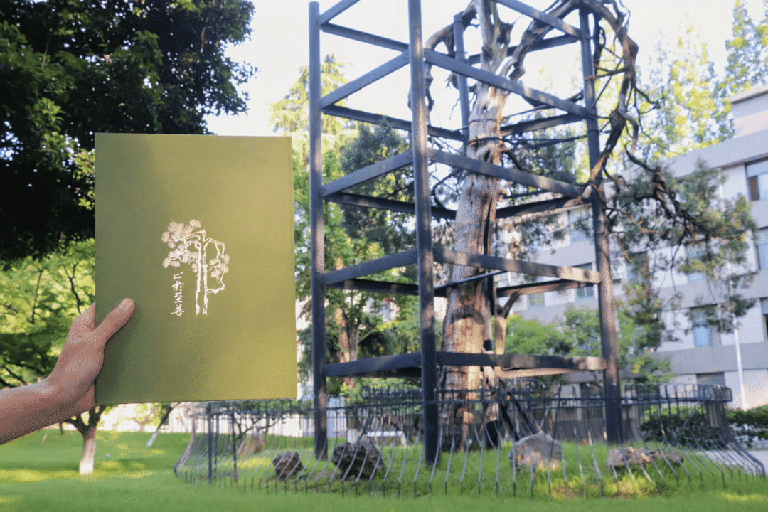 东南大学2023级全新录取通知书发布