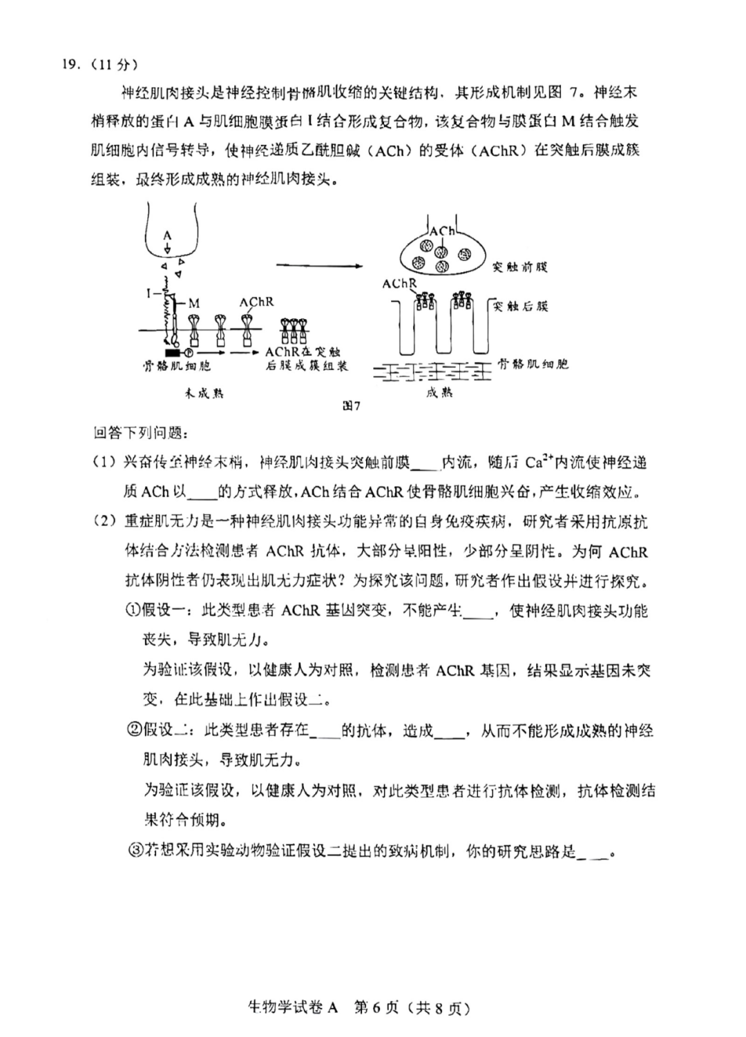 2023广东高考生物试卷