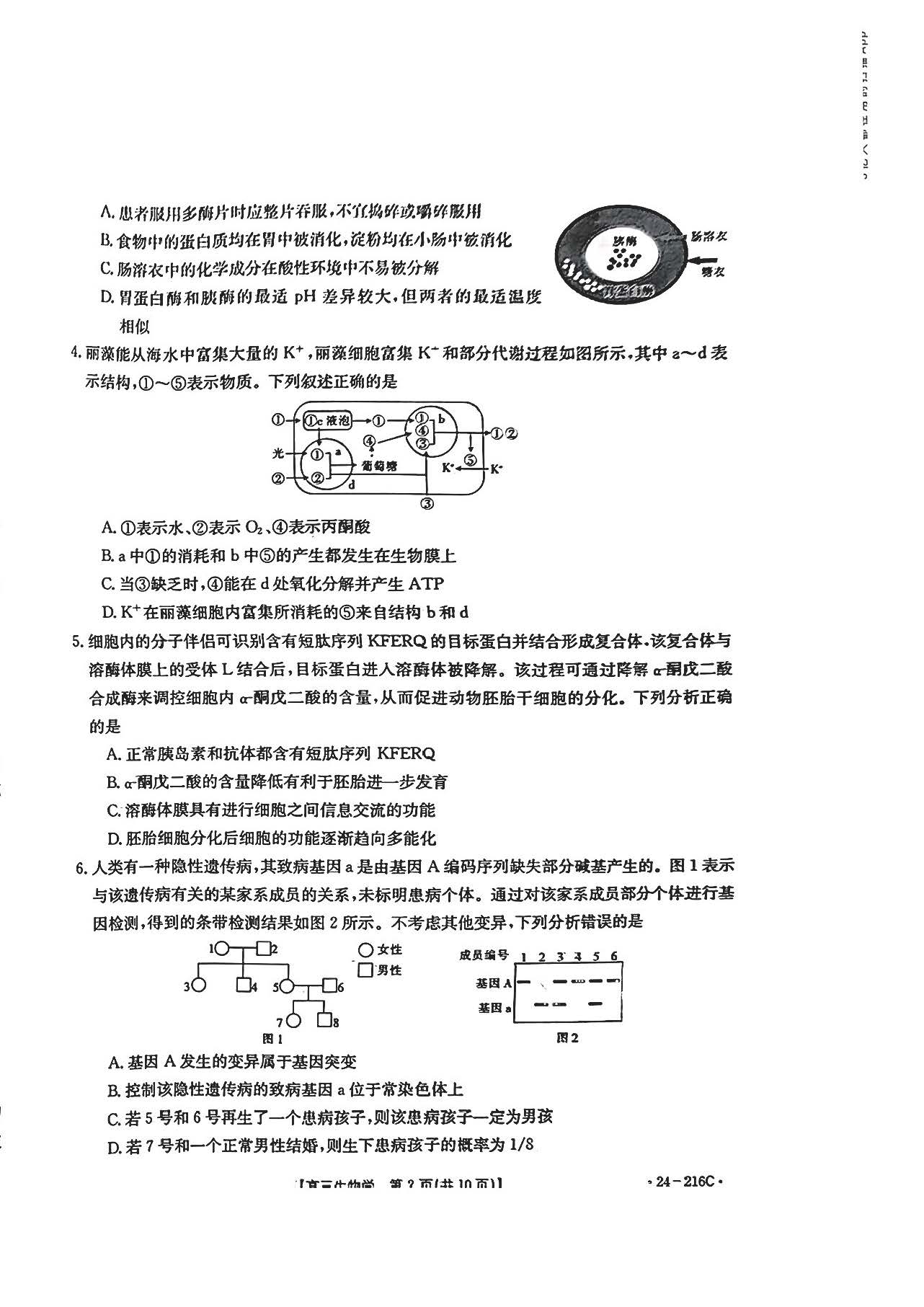山西省金太阳2024届高三12月联考（216C）生物试题_自主选拔在线