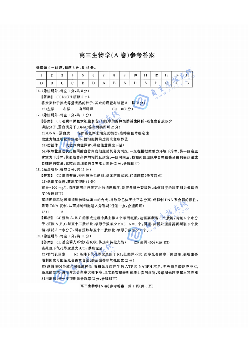 2025年安徽鼎尖名校高三10月联考生物试题及答案