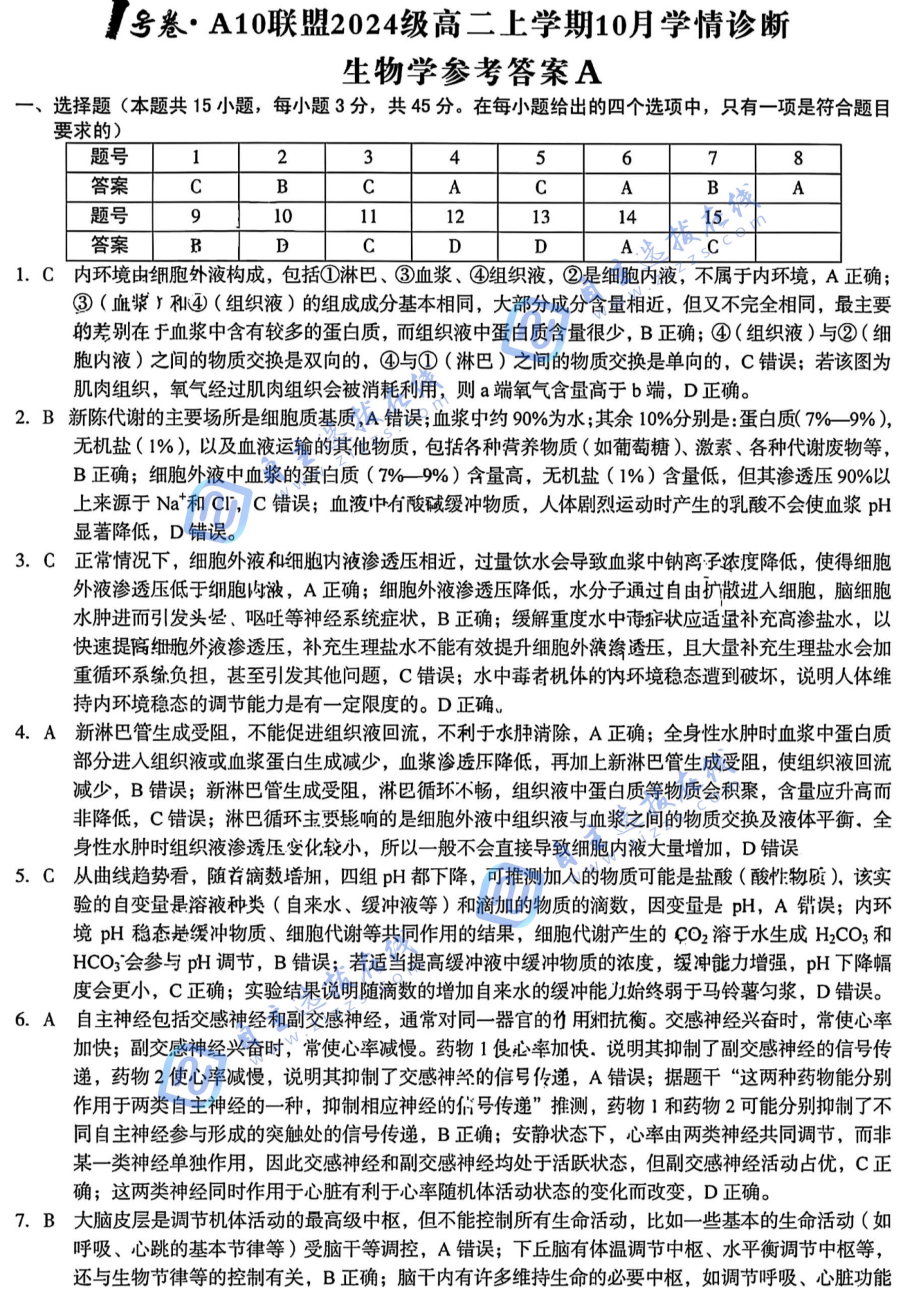 安徽省A10联盟2024级高二上学期10月学情诊断生物试题及答案