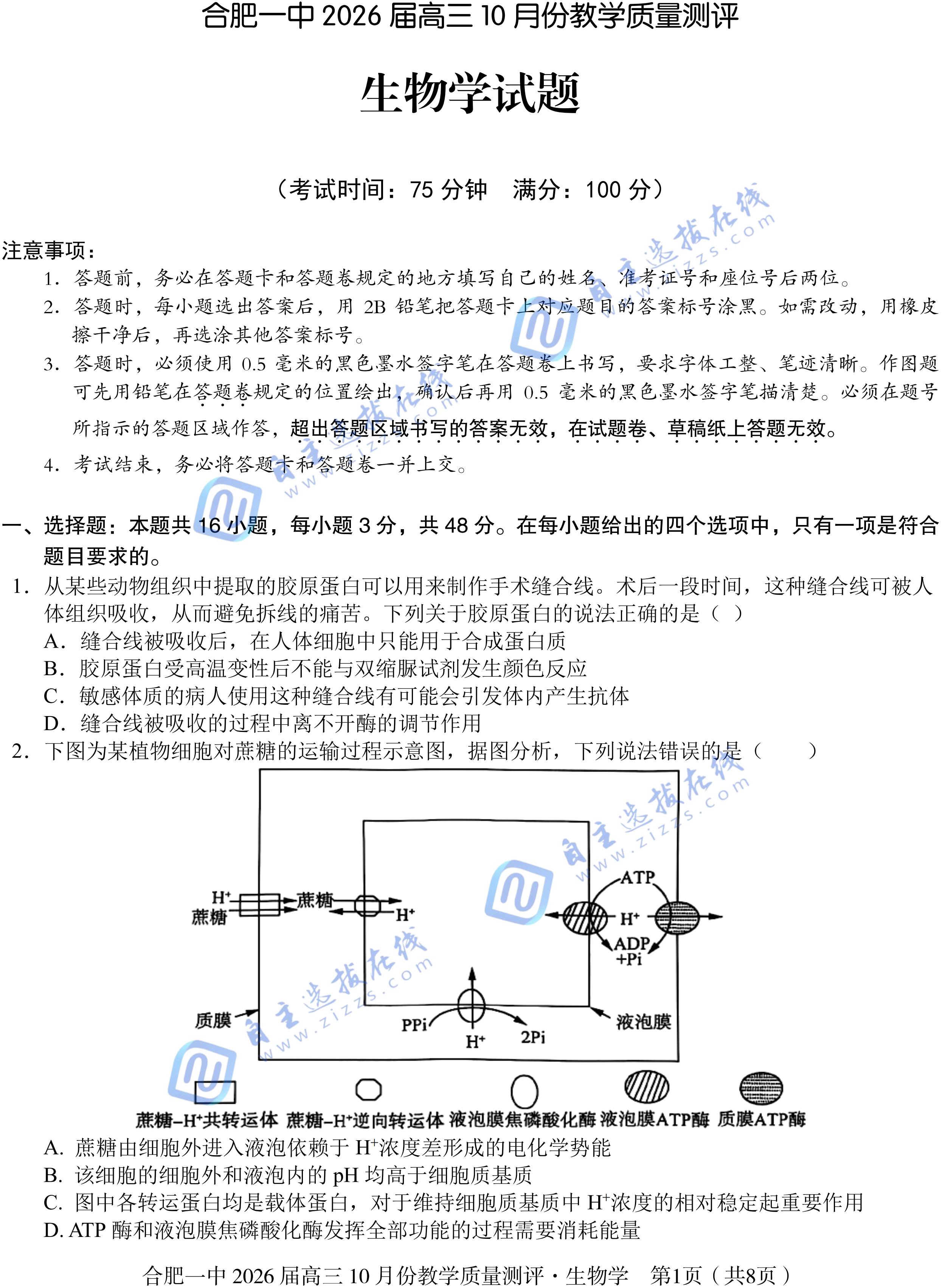 合肥一中2026届高三上学期10月质检生物试题及答案