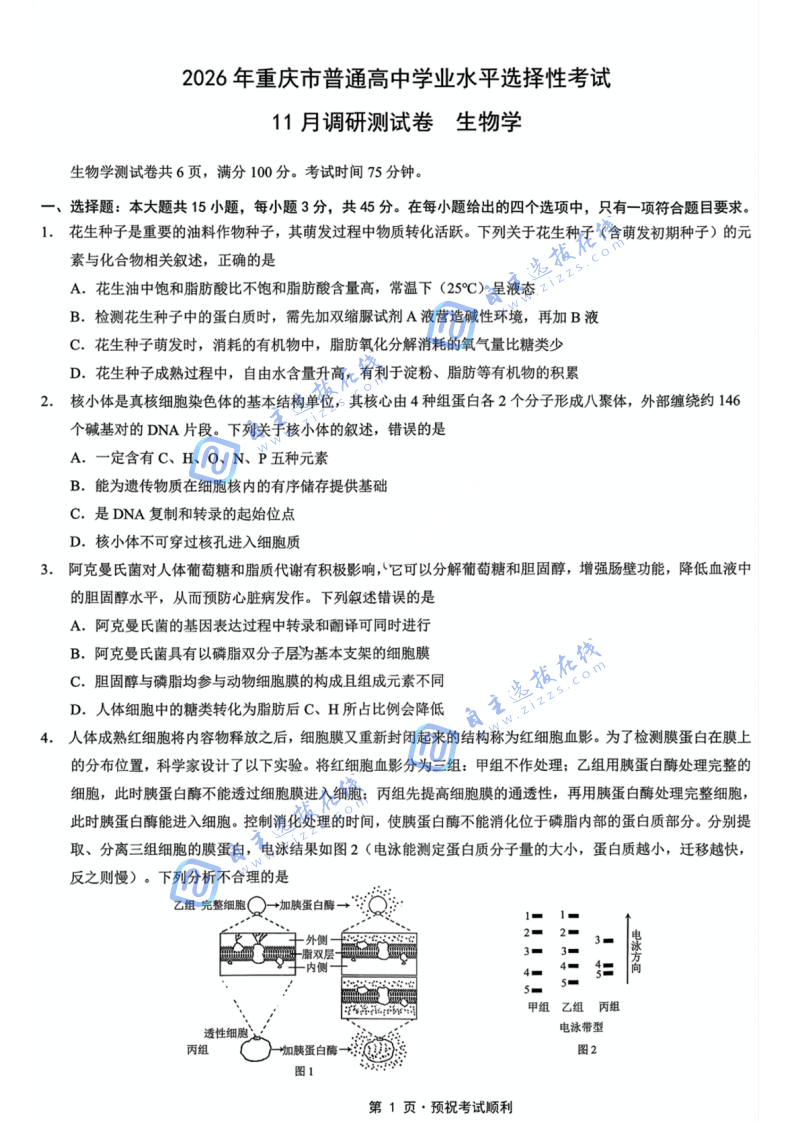 重庆市2026届康德高三11月调研测试生物试题及答案