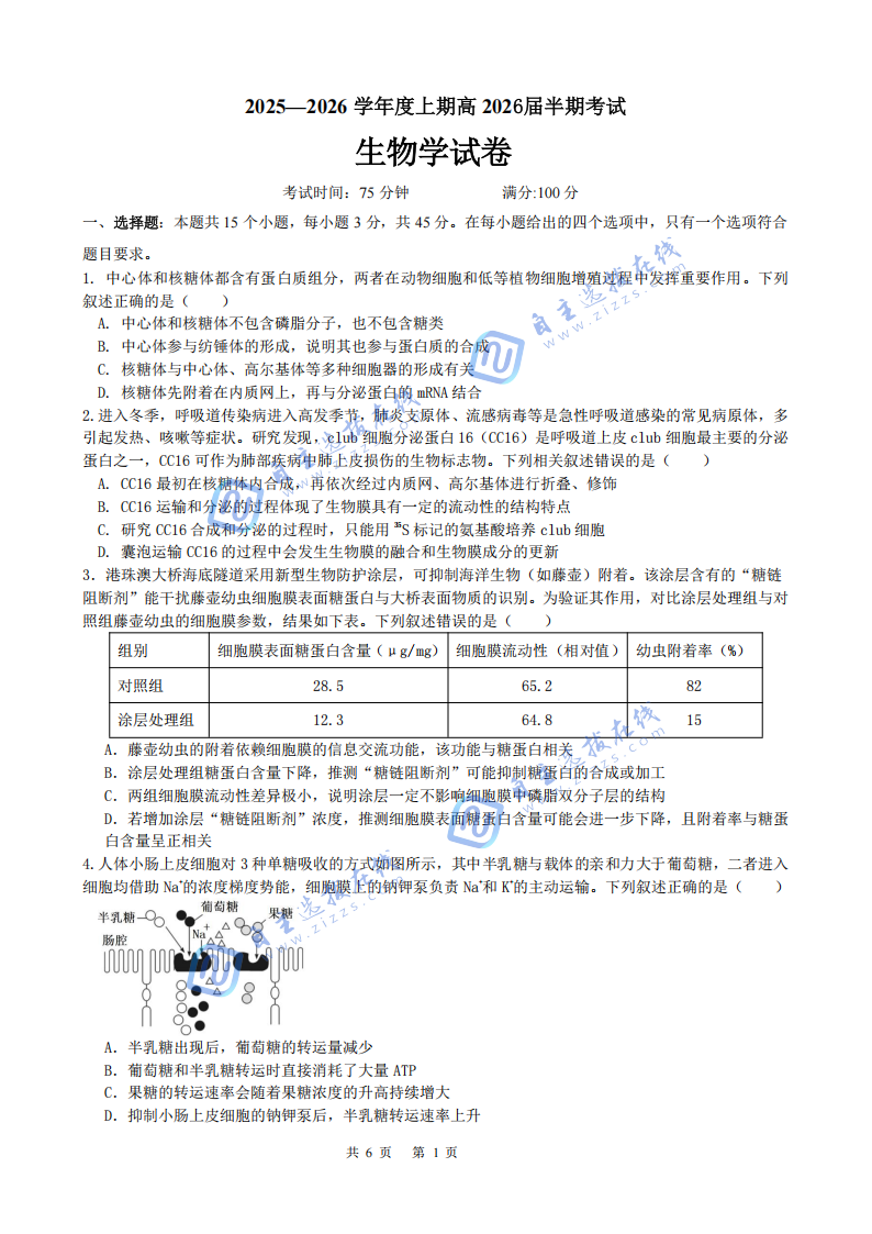 成都市第七中学2026届高三上学期11月期中考试生物试题及答案