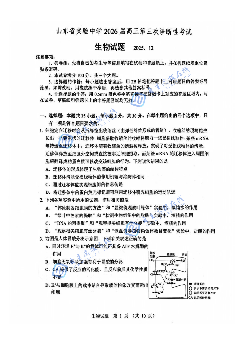 山东省实验中学2026届高三12月第三次诊断生物试题及答案