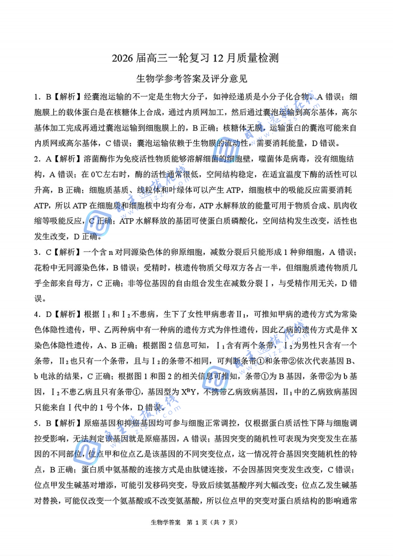 百师联盟2026届高三一轮复习12月质量检测生物试题及答案