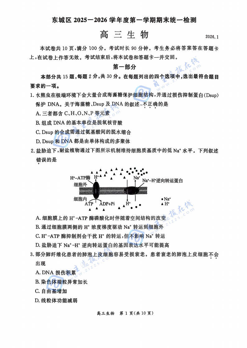 东城区2025-2026学年度高三期末统一检测生物试题及答案