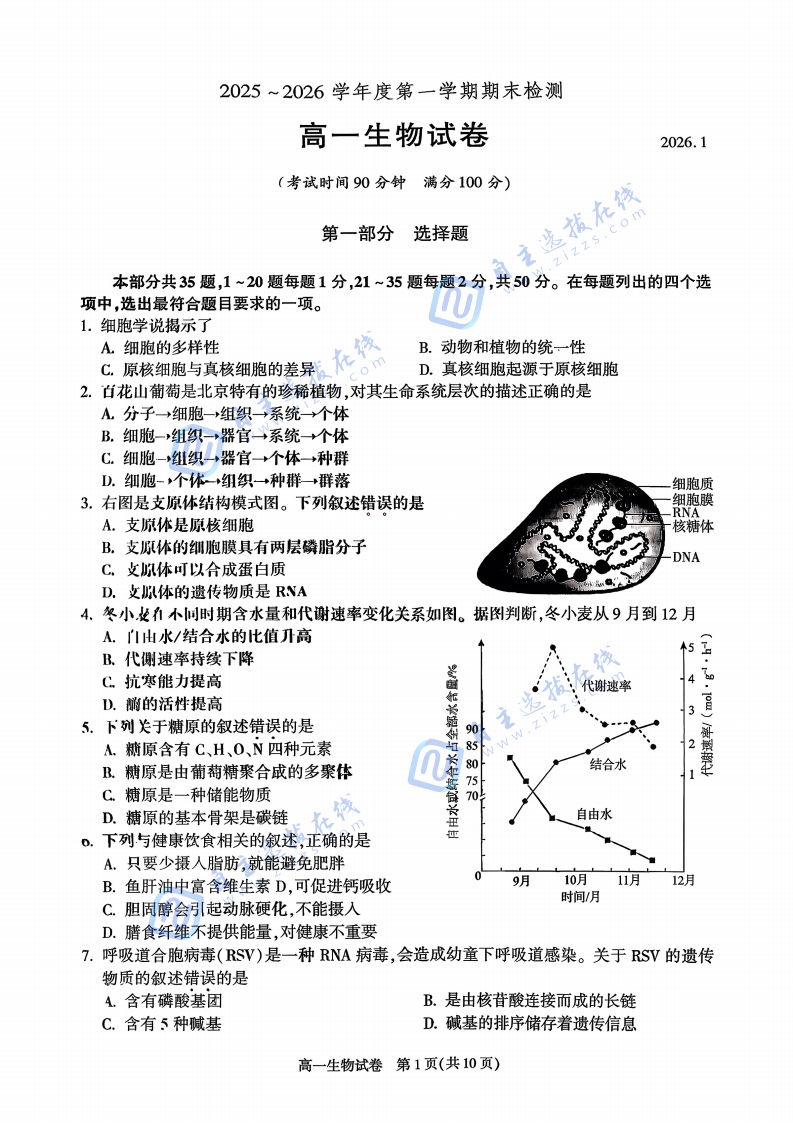 2025-2026学年北京朝阳高一(上)期末生物试题及答案