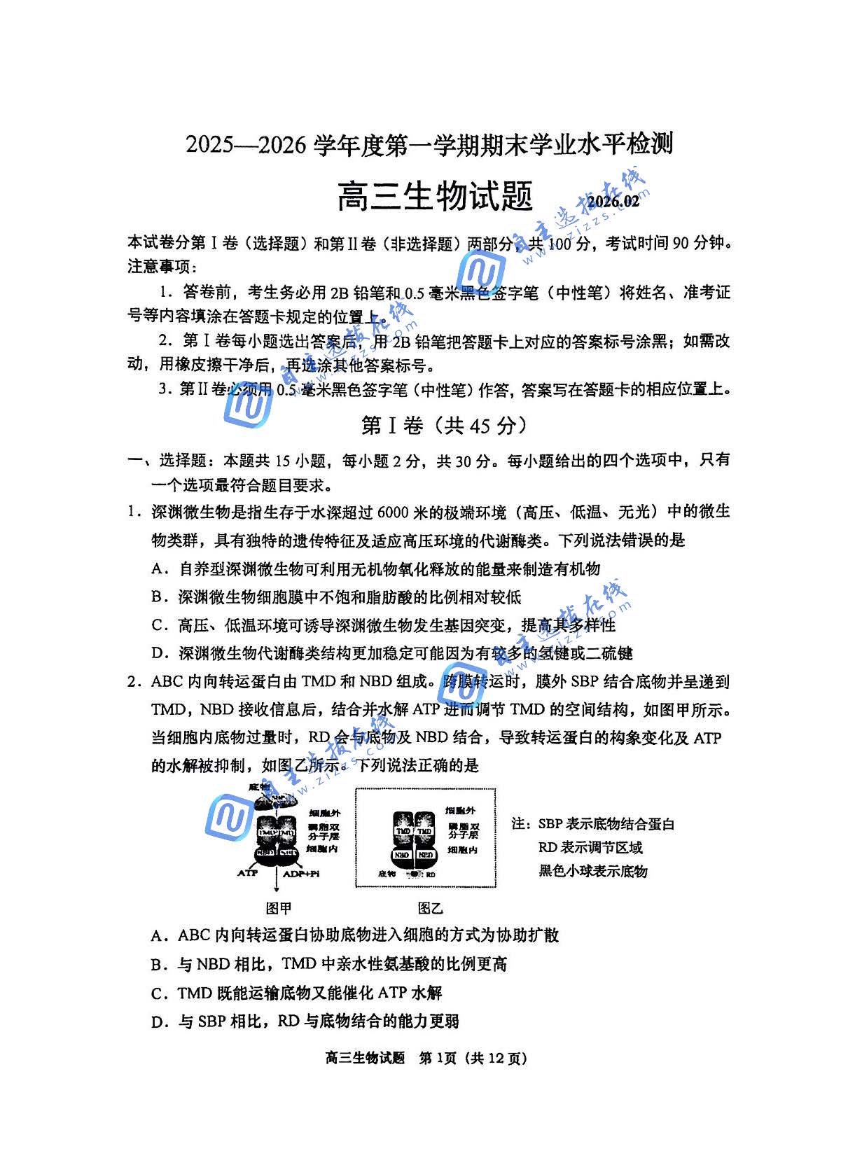 青岛市2026年2月高三期末生物试题及答案