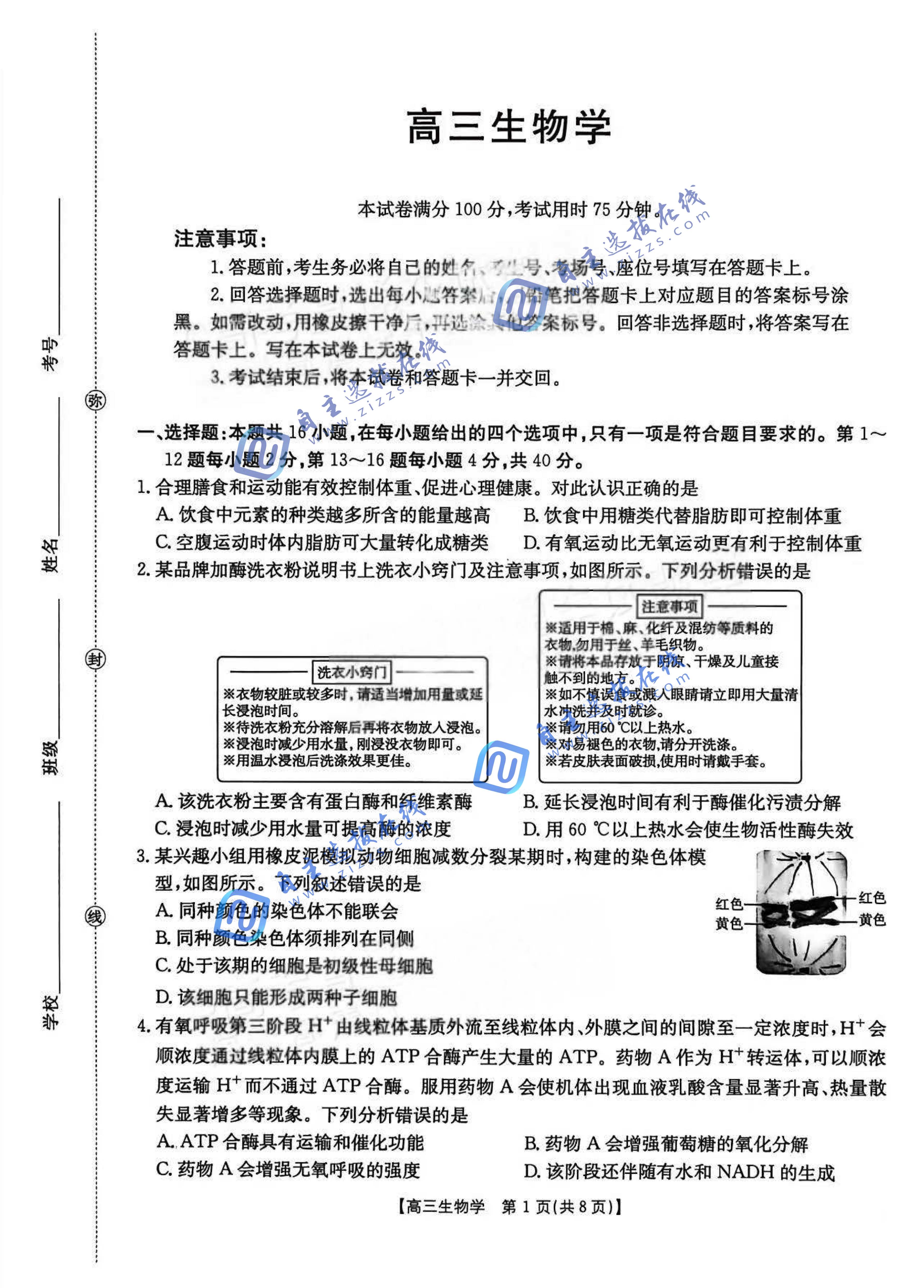 广东省2026届高三2月金太阳百万联考（254C）生物试题及答案