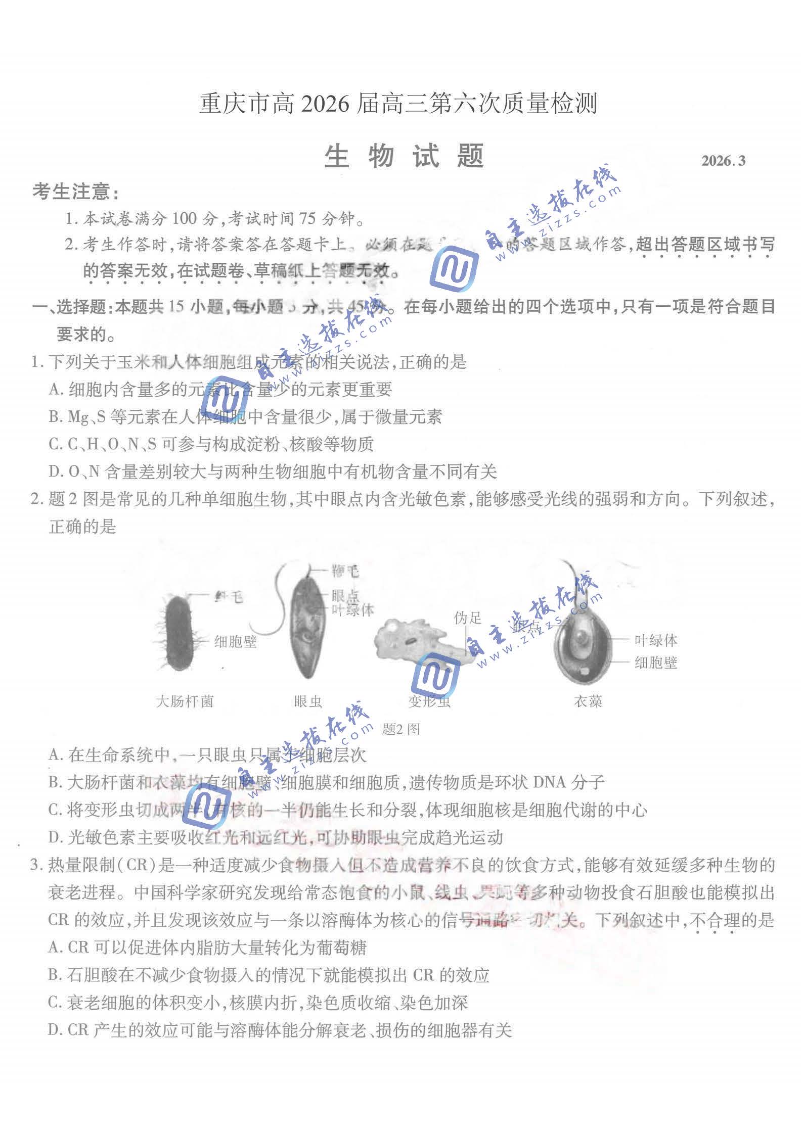 重庆市高2026届高三第六次质量检测生物试题及答案