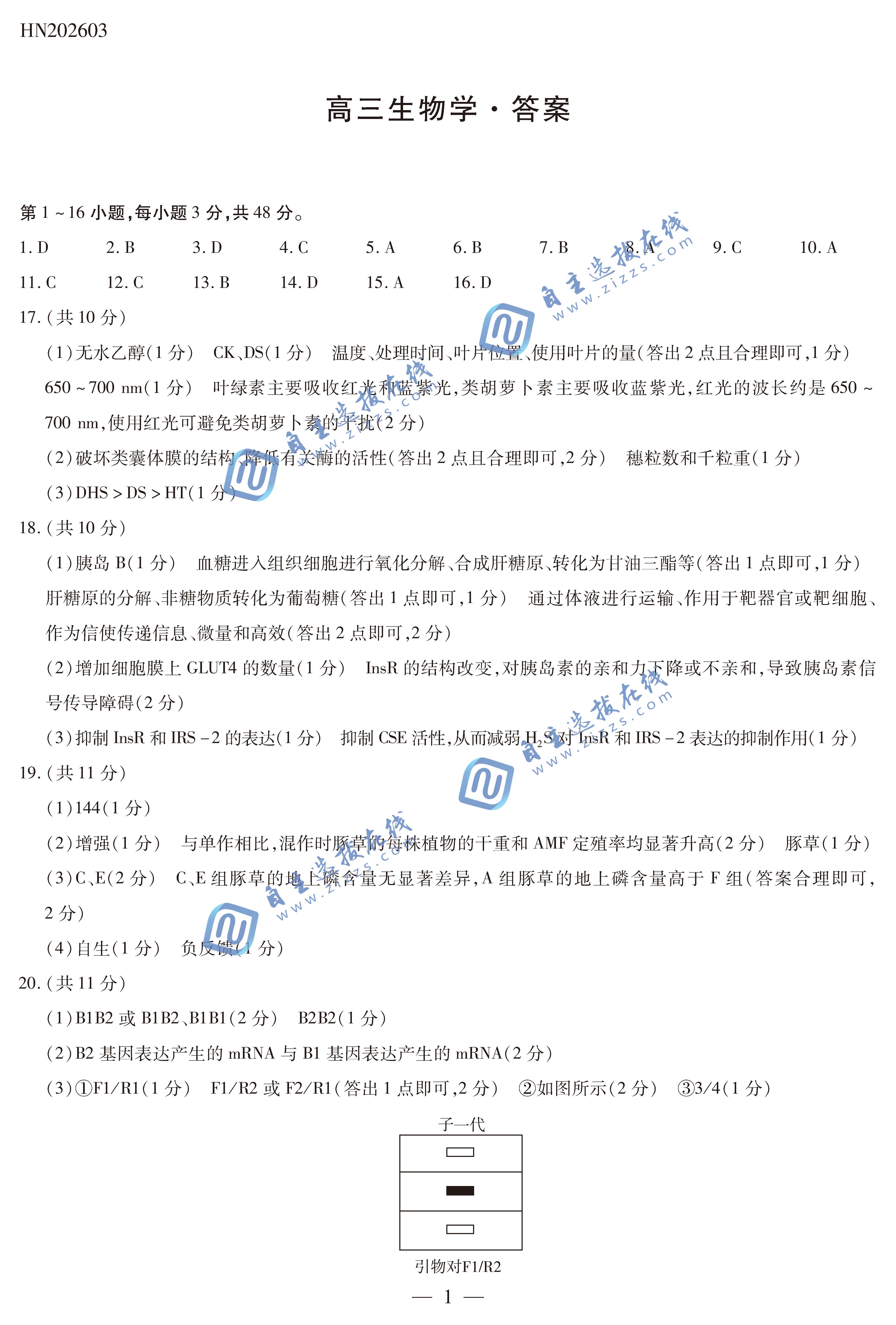 天一大联考顶尖计划2026届高三3月联考生物试题及答案