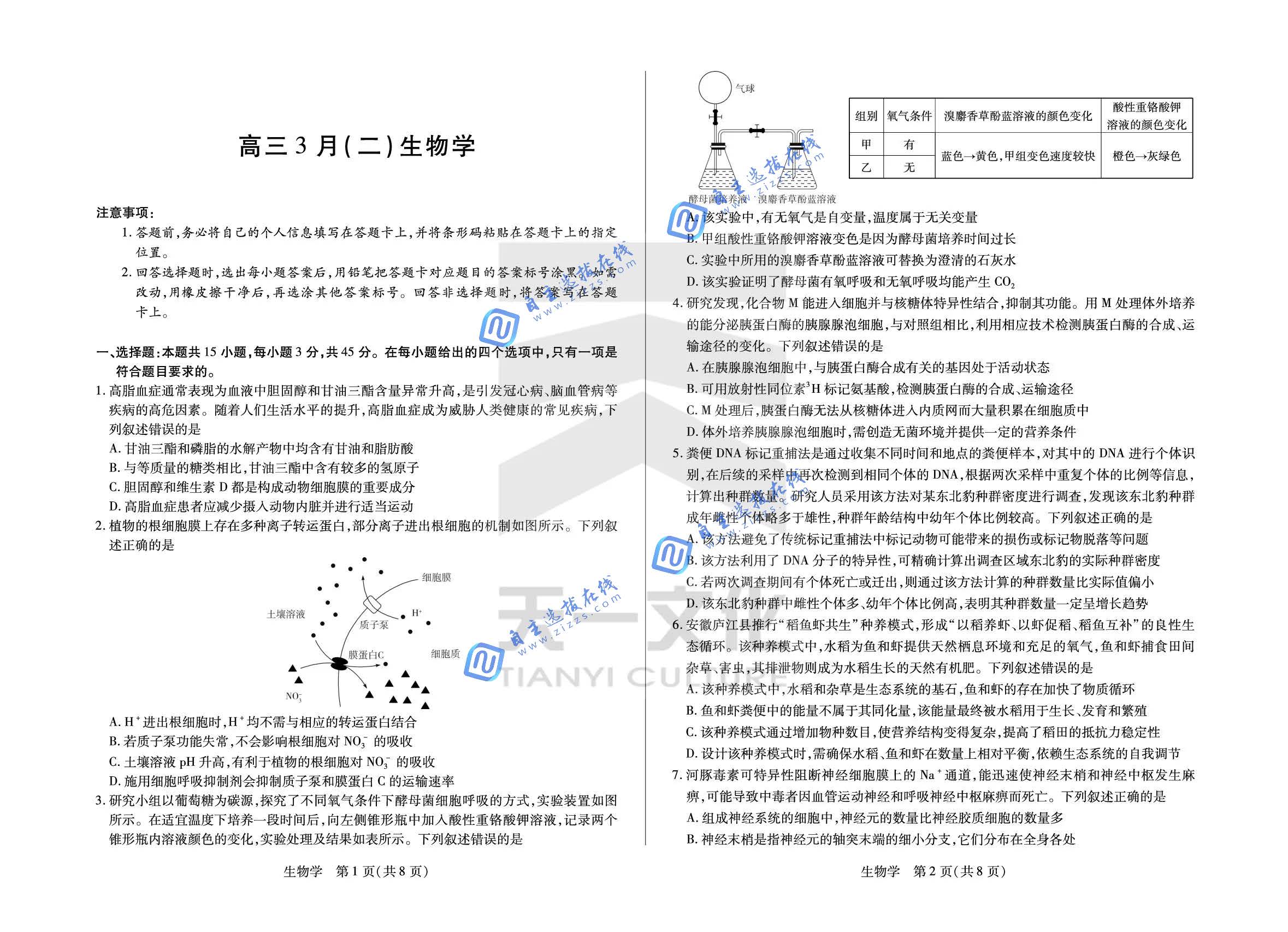 合肥八中2026届高三3月模拟预测（二）生物试题及答案