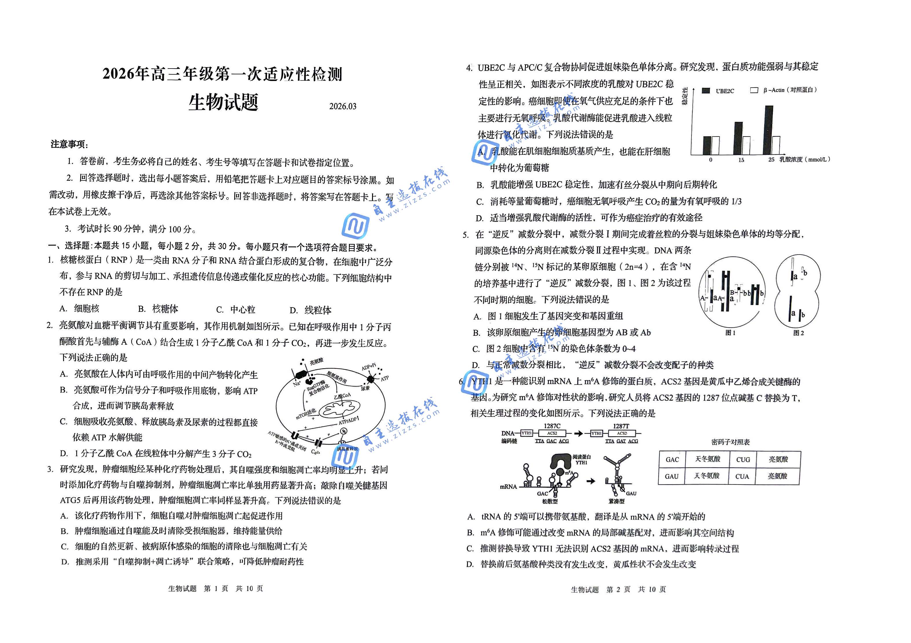 山东省青岛市2026届高三第一次适应性检测生物试题及答案