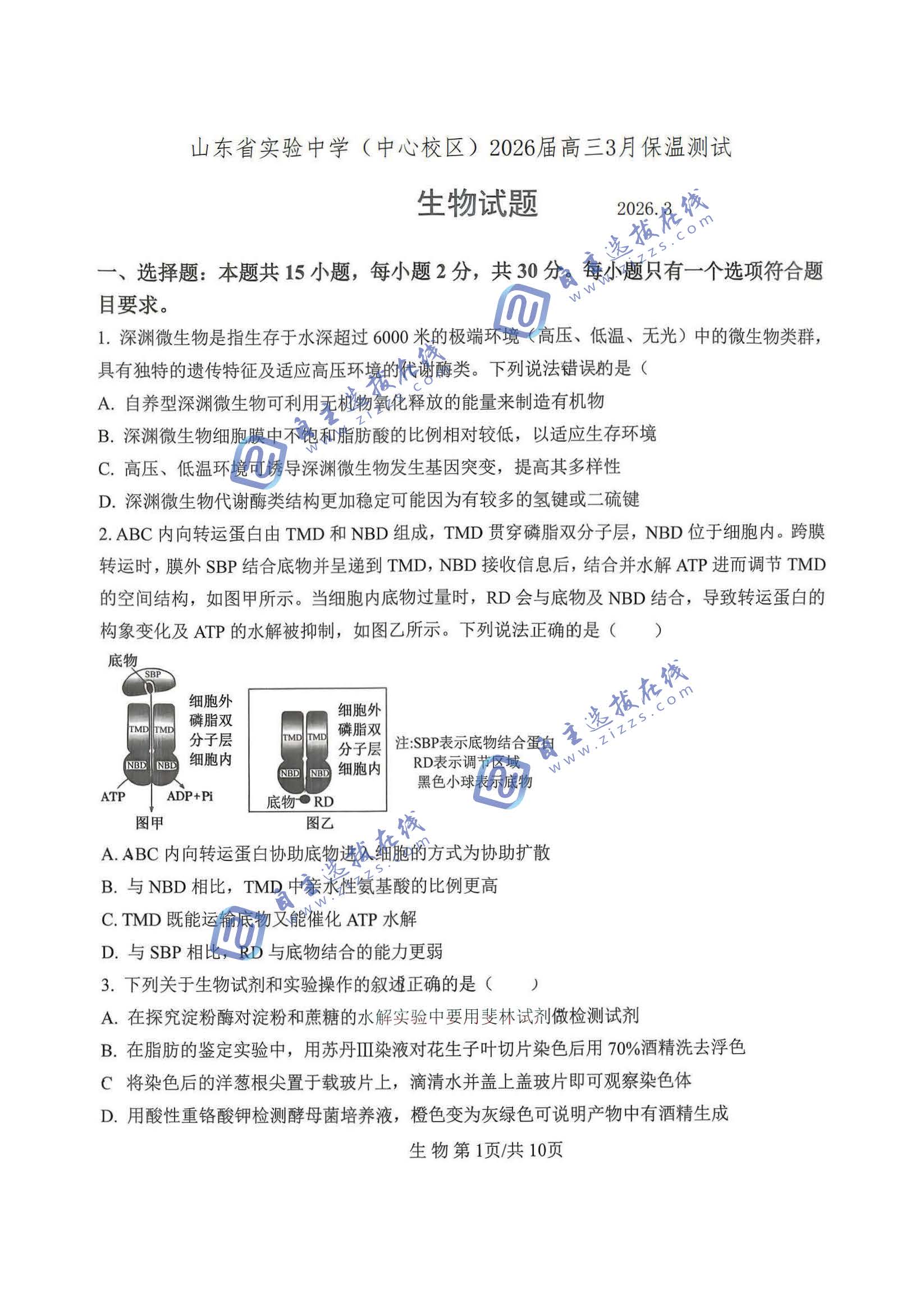 山东省实验中学2026届高三3月保温测试生物试题及答案