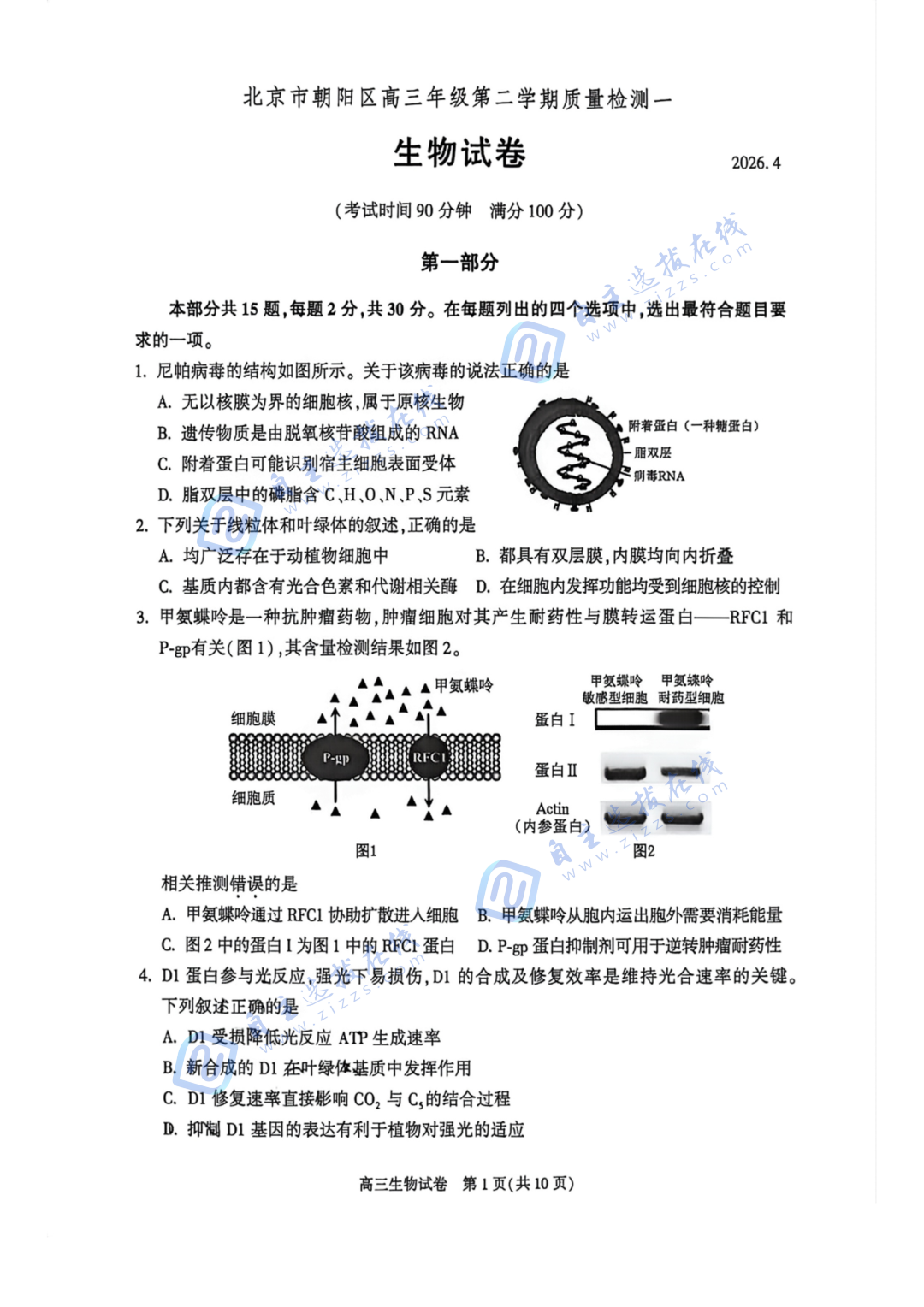 北京朝阳区2026届高三一模生物试题及答案