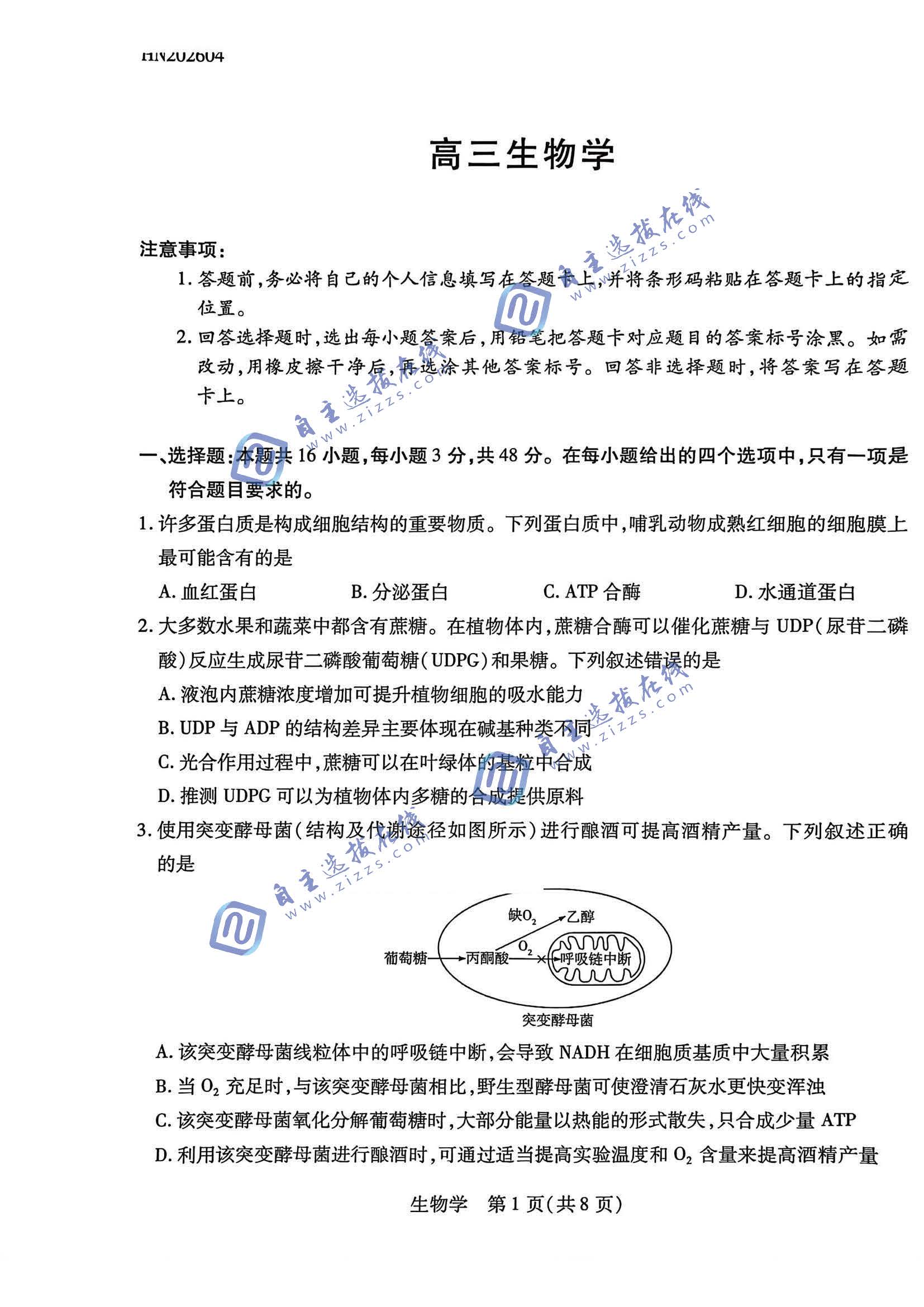 河南天一大联考2026届高三4月联考生物试题及答案