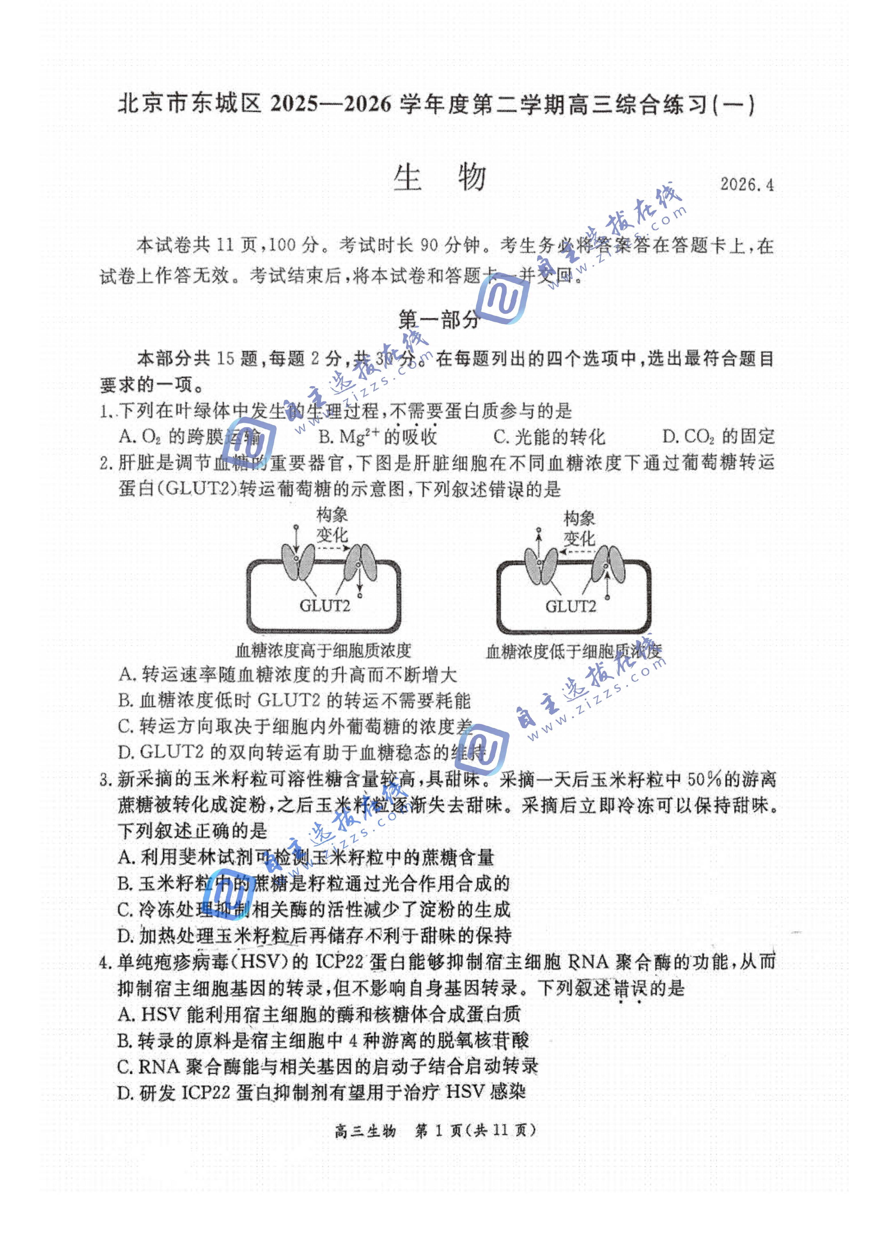 北京市东城区2026届高三一模生物试题及答案