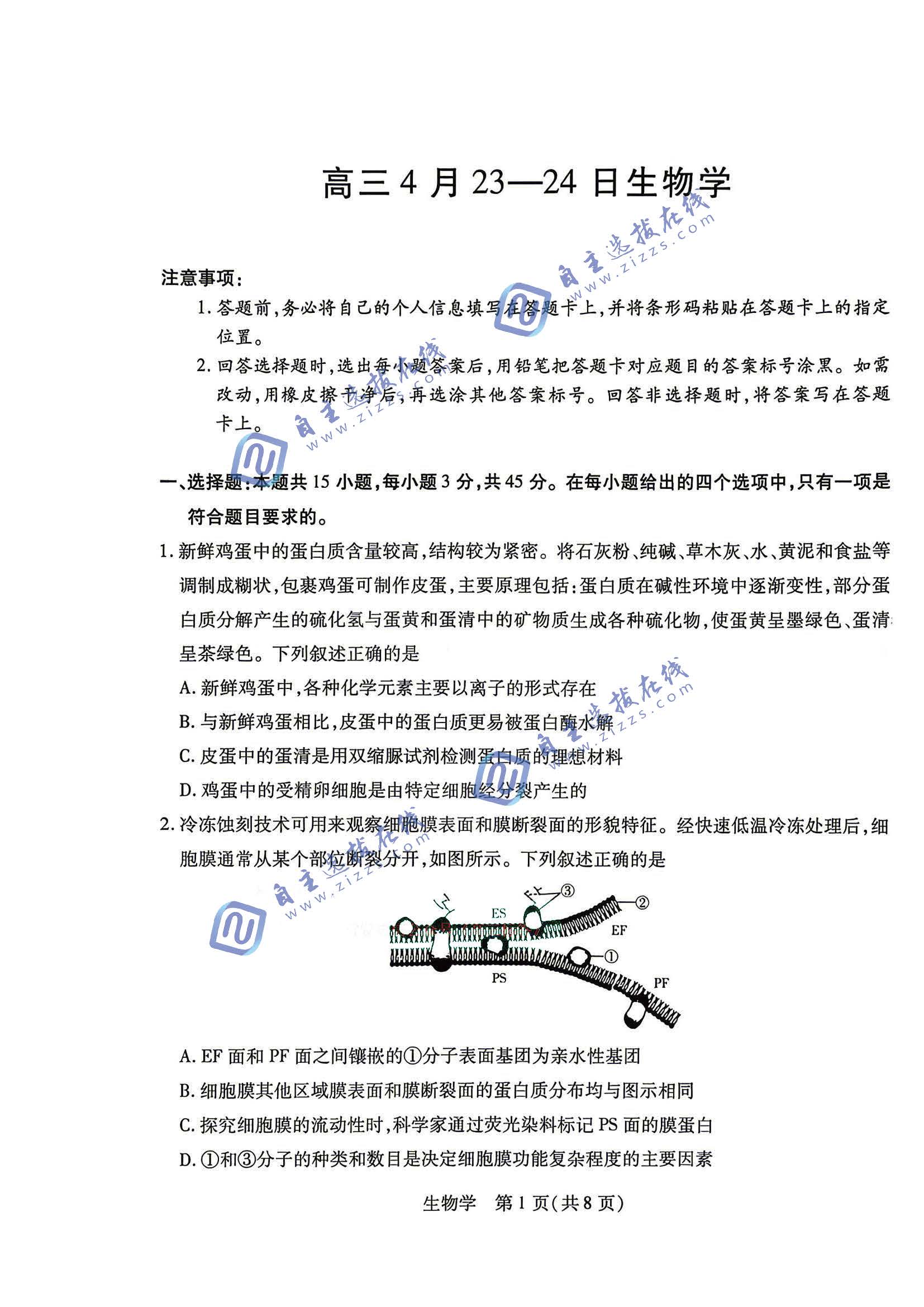 安徽天一大联考2026届高三4月23-24日联考生物试题及答案