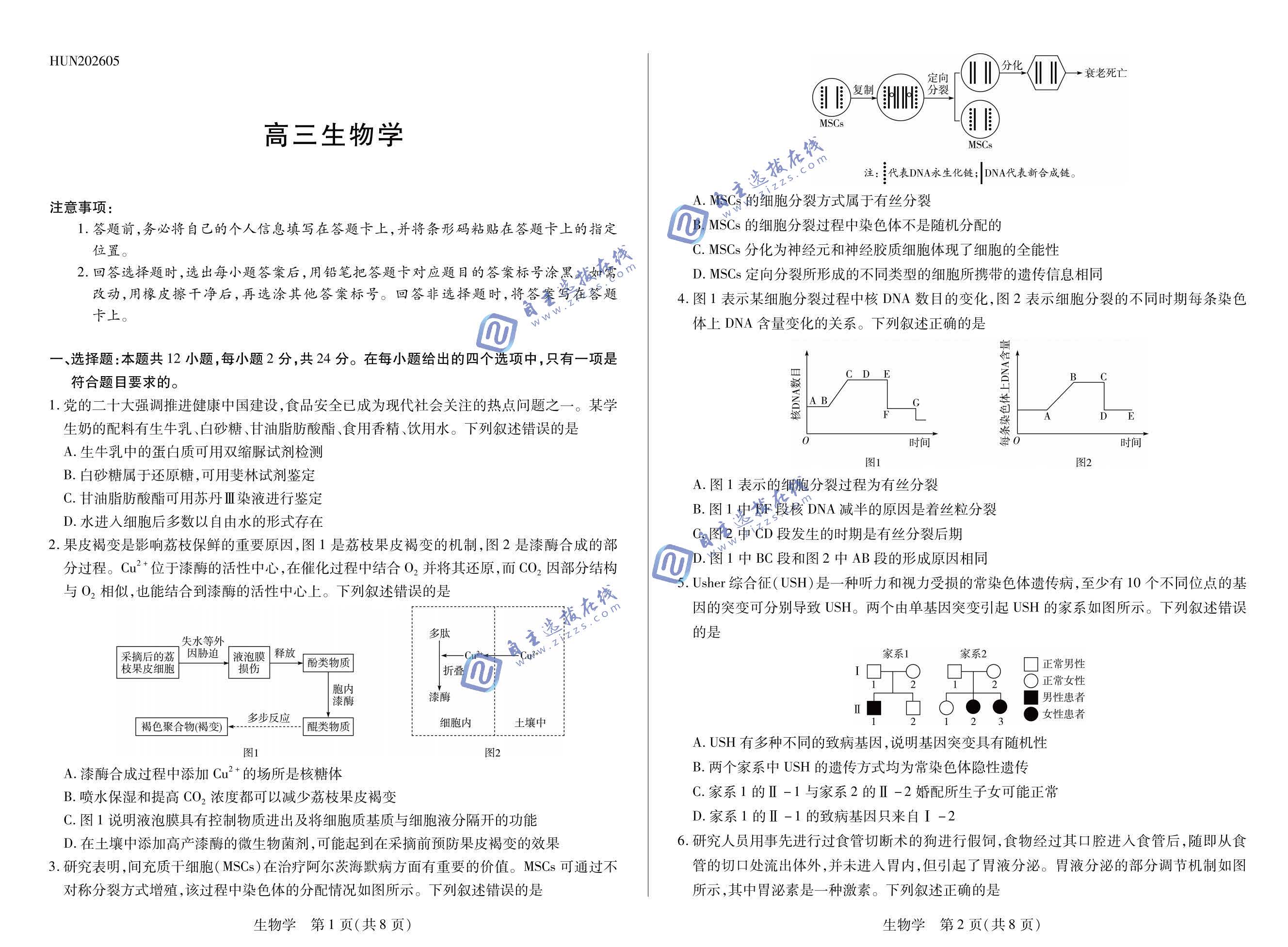 湖南天一大联考2026届高三5月联考生物试题及答案