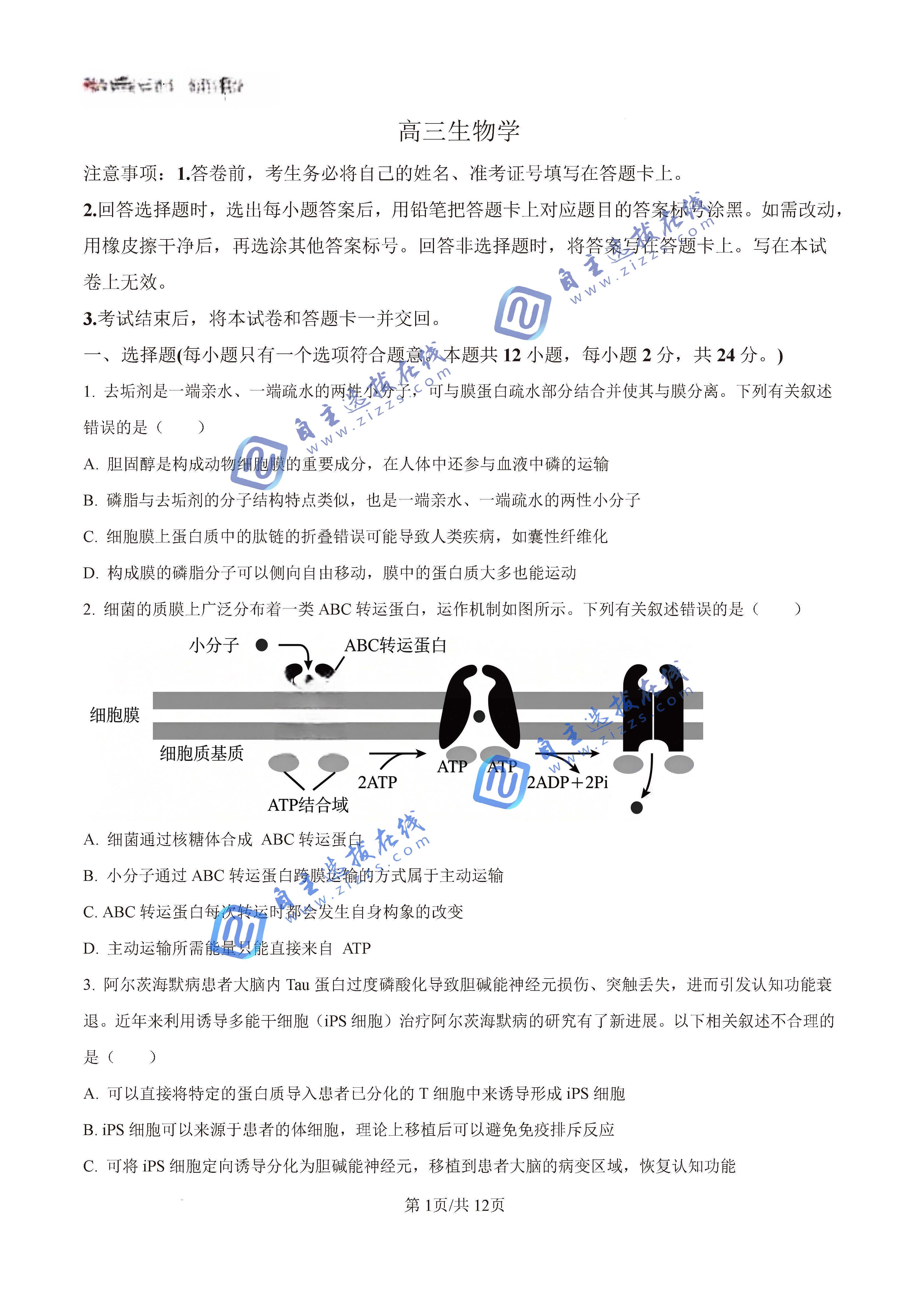 长沙市一中2026届高三月考(十)生物试题及答案