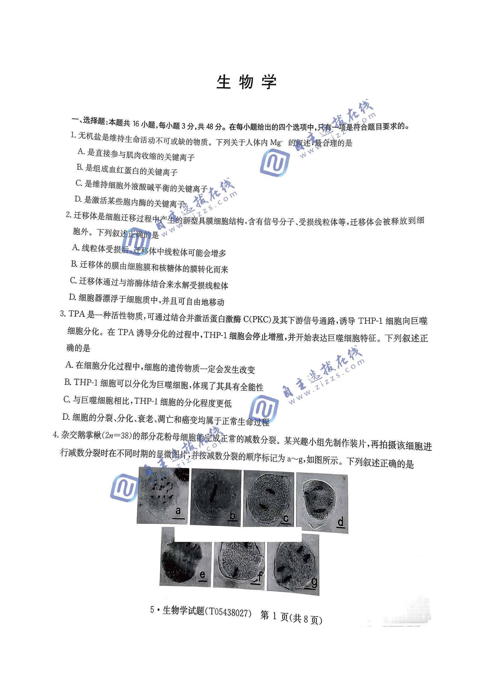 华大新高考联盟2026届高三5月联考生物试题及答案