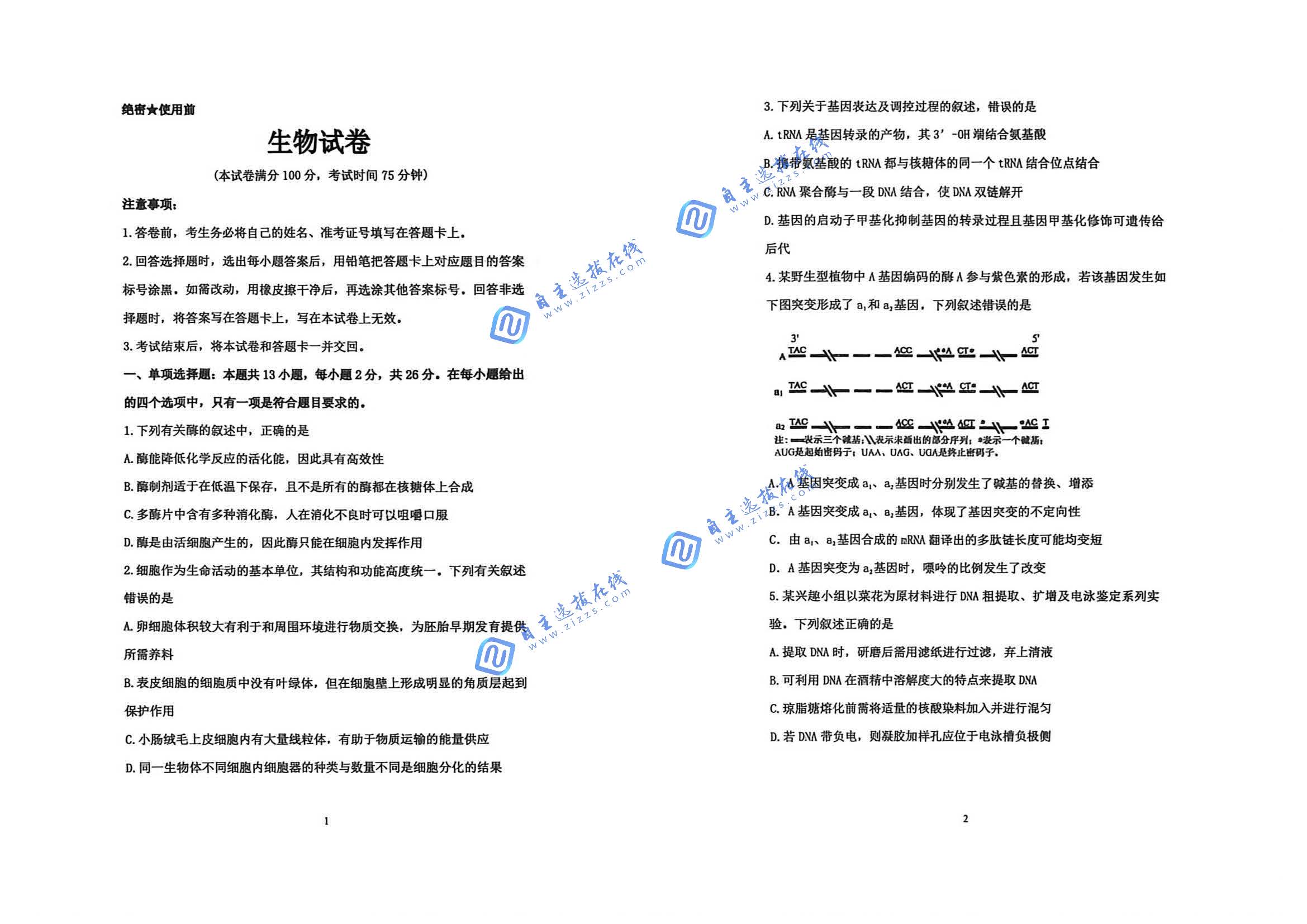 衡水中学2026届高三下四调生物试题及答案