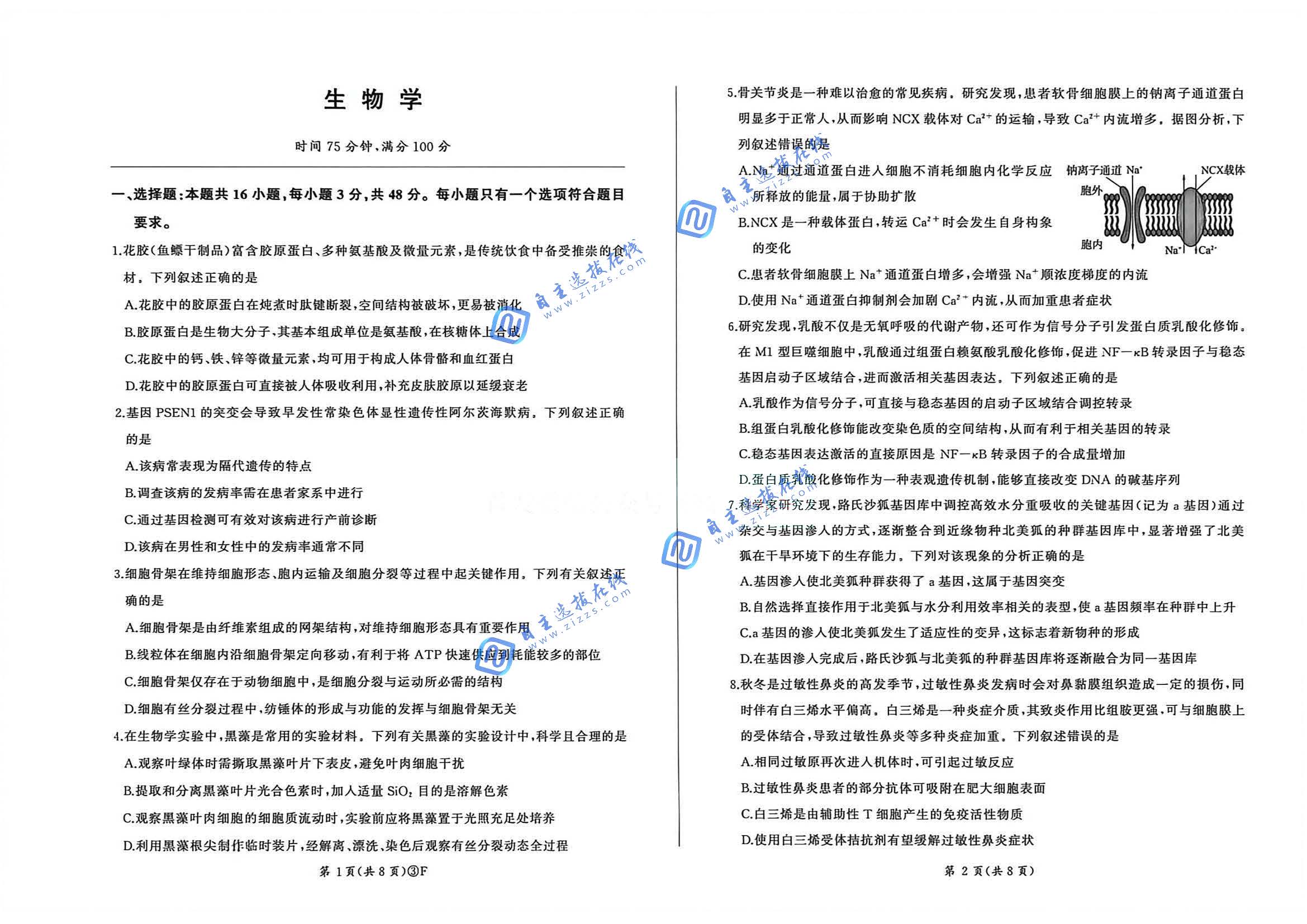 百师联盟2026届高三5月20联考生物试题及答案