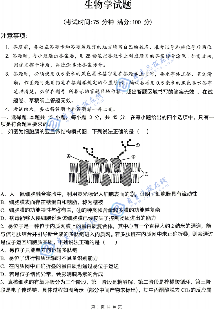 安徽省十联考合肥一中2026届高三模拟考生物试题及答案