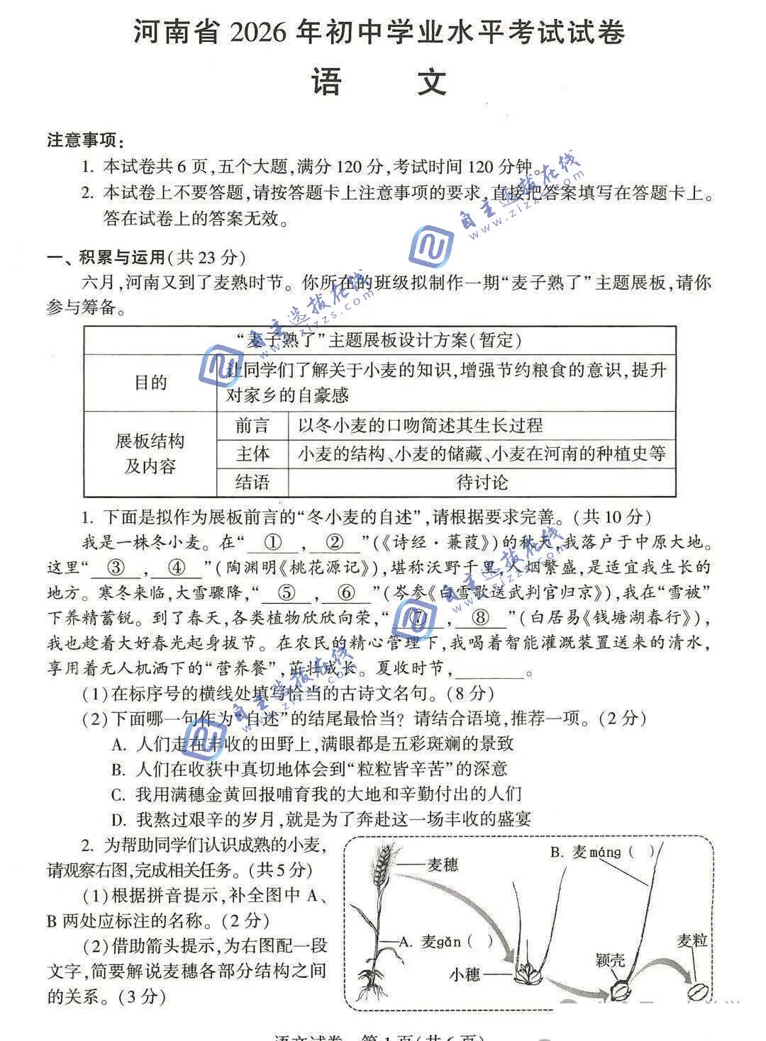 河南省2026年中考语文试题及答案