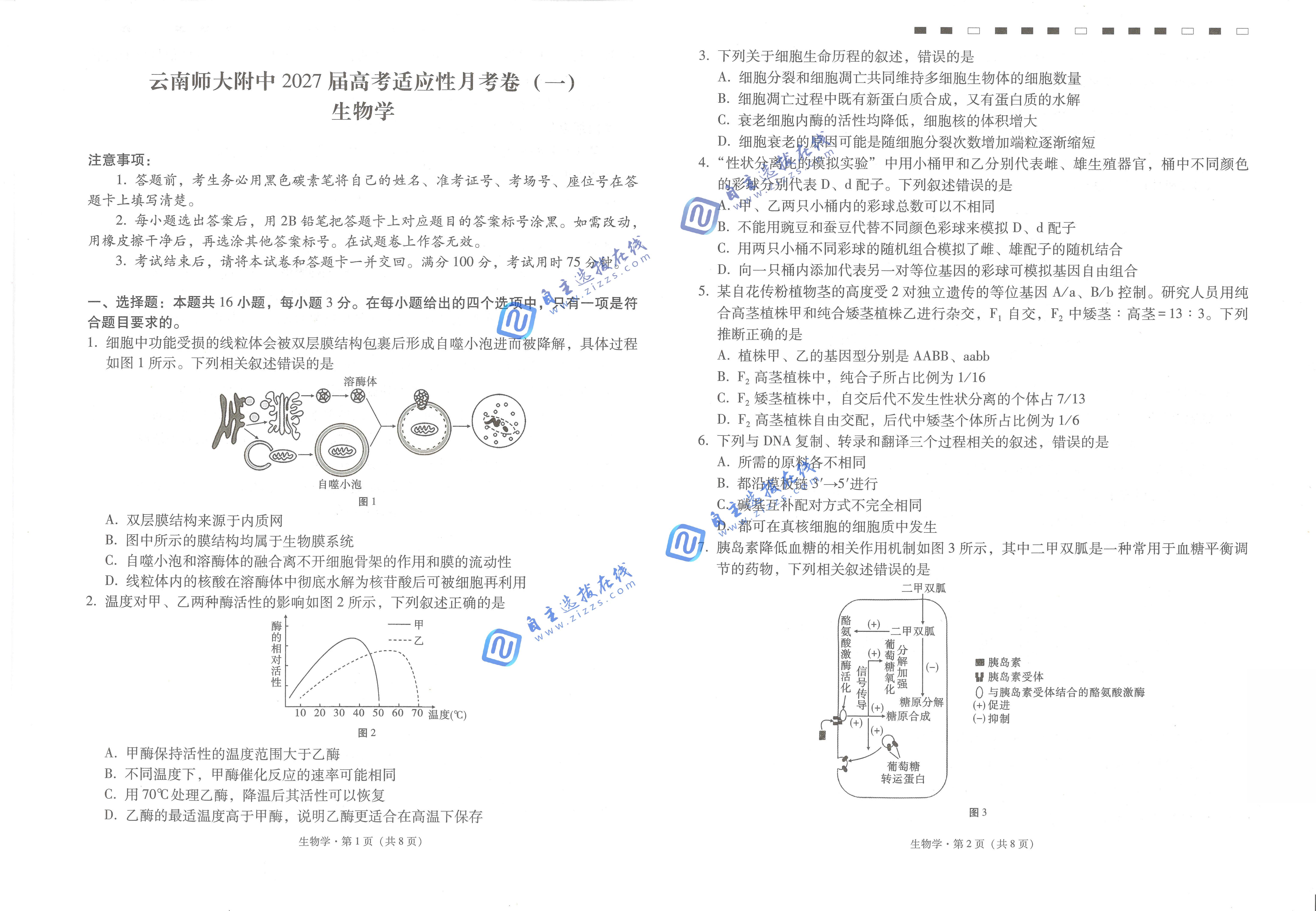 云南师大附中2027届高三适应性月考卷(一)生物试题及答案