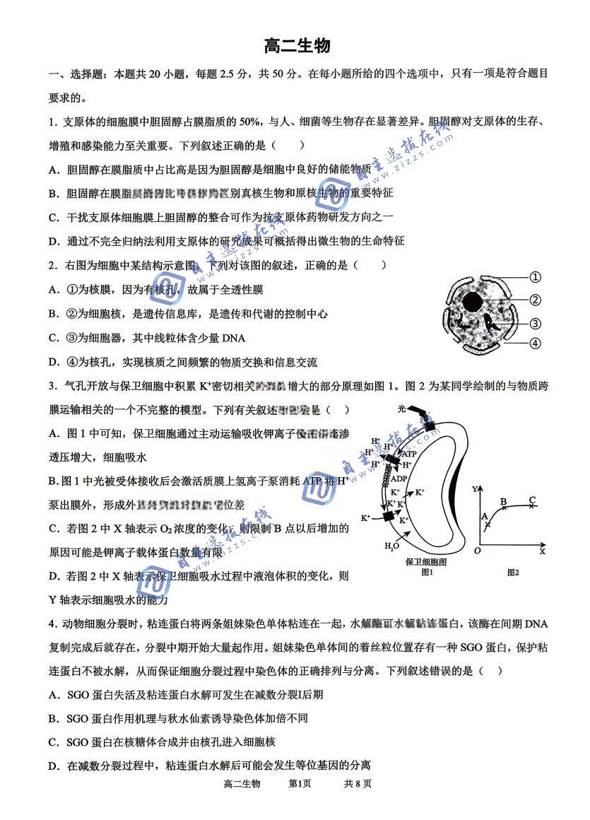 巴蜀中学2027届高二(下)7月期末考试生物试题及答案