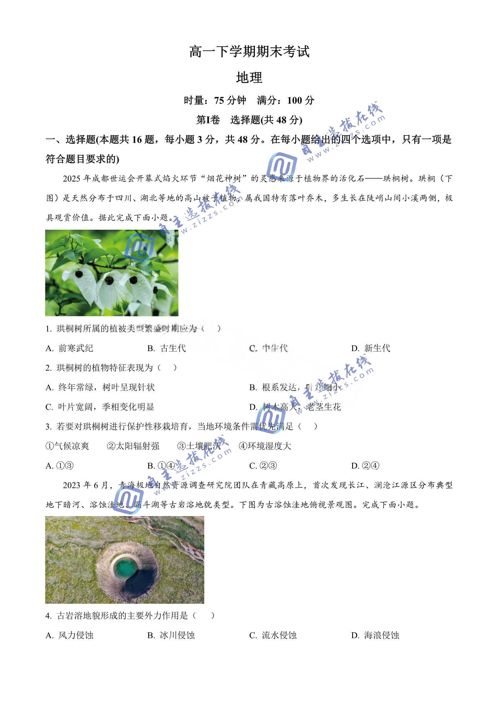 湖南师大附中2026学年高一下学期期末地理试题及答案
