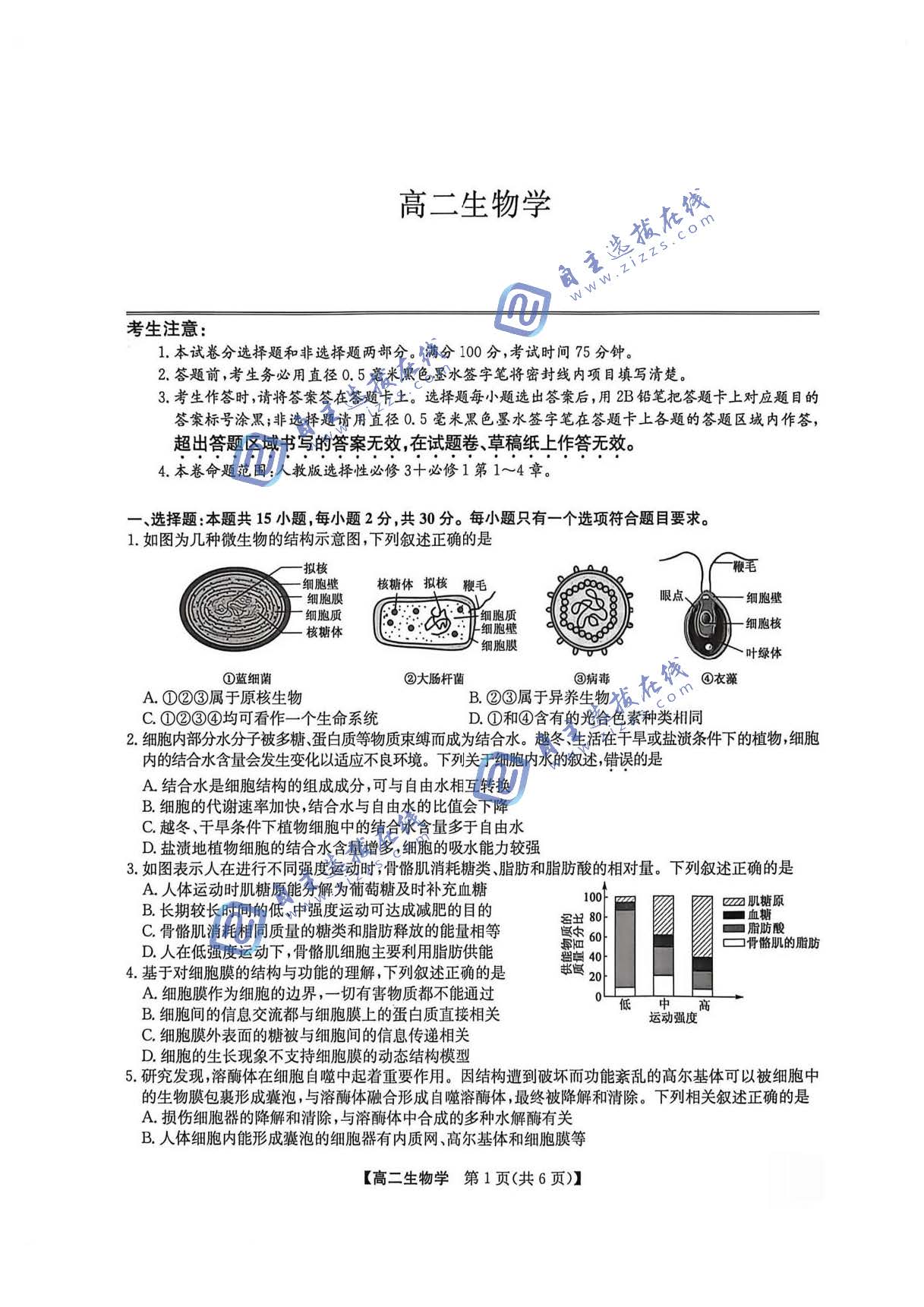 辽宁九师联盟2026年高二7月期末检测生物试题及答案