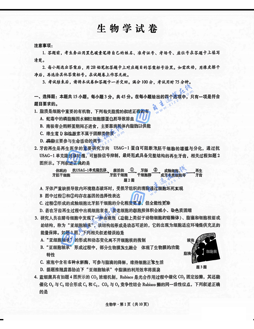 重庆巴蜀中学2026届高三5月适应性月考卷(九)生物试题及答案