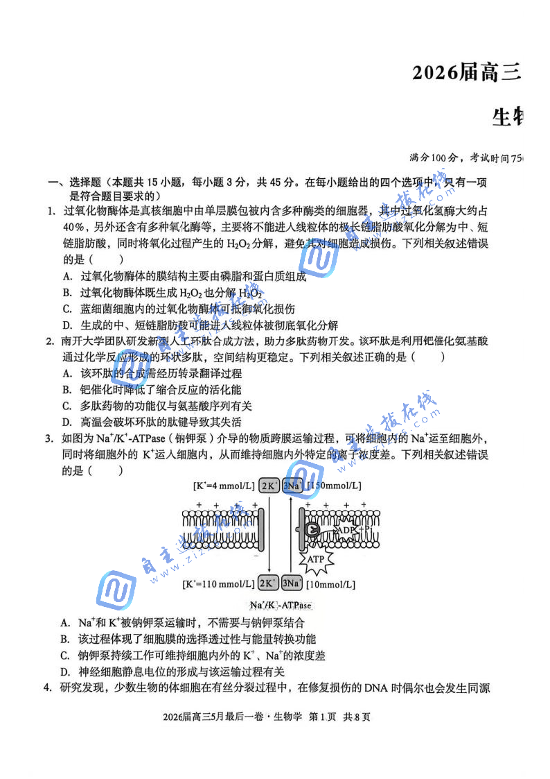 安徽省A10联盟2026届高三5月联考生物试题及答案