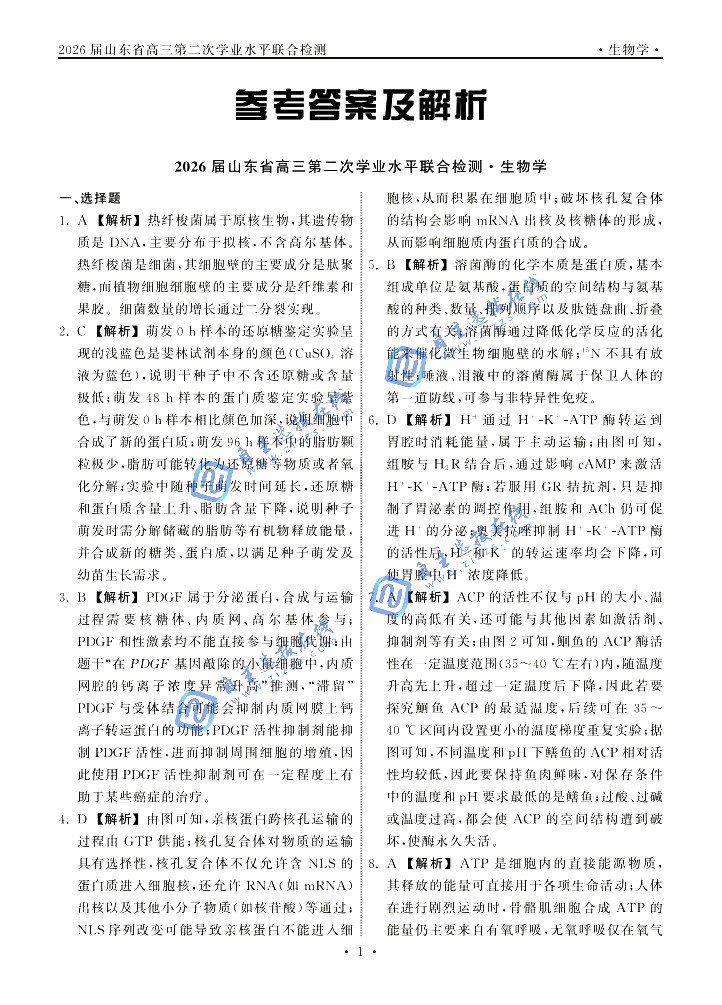 齐鲁名校大联考2026届高三10月检测生物试题及答案