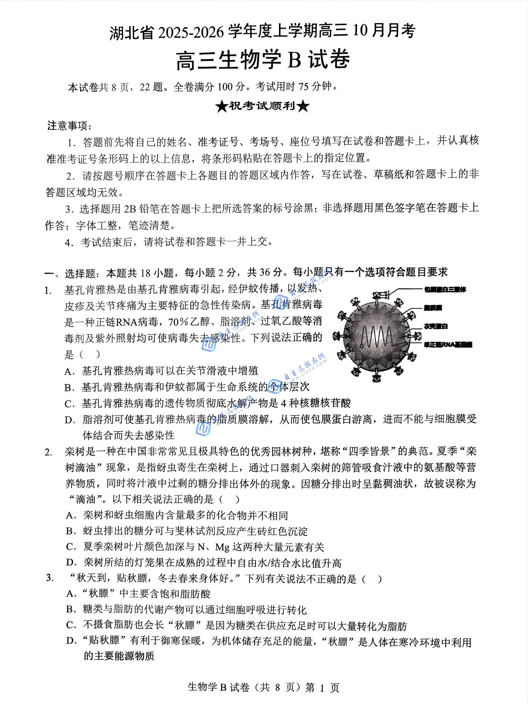 湖北省新八校协作体2026届高三10月联考生物试题及答案