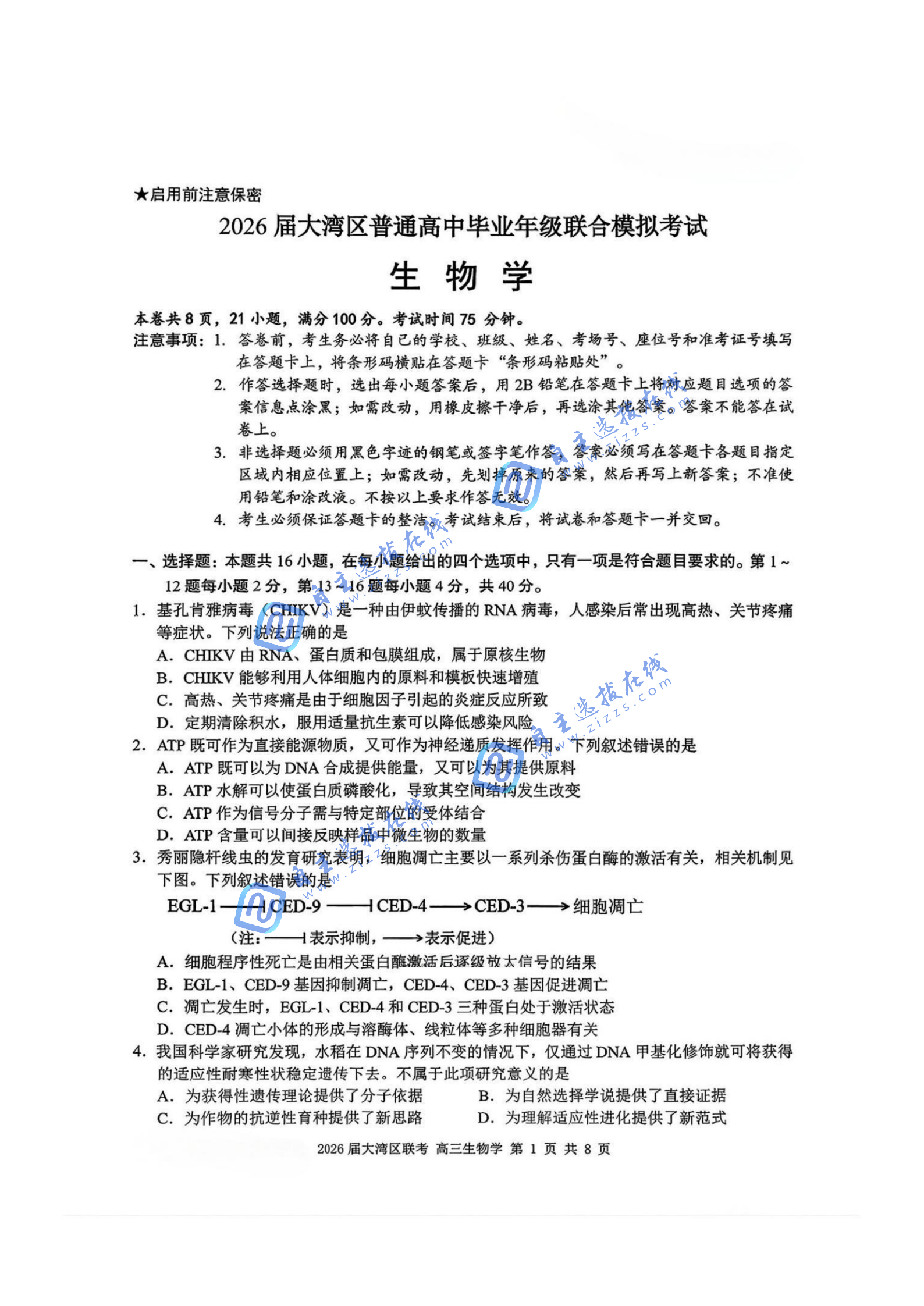 广东省2026届高三大湾区联考生物试题及答案