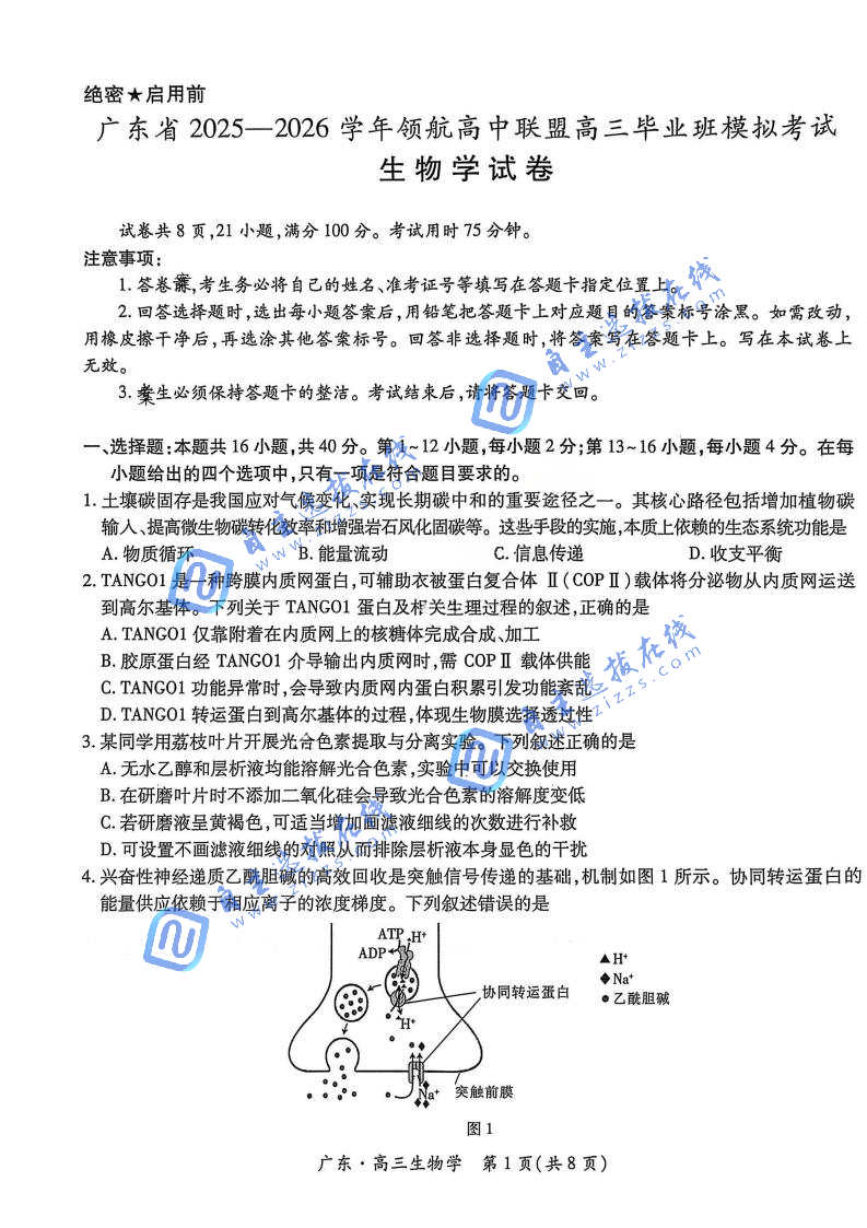 广东省2026届高三12月上进领航联考生物试题及答案