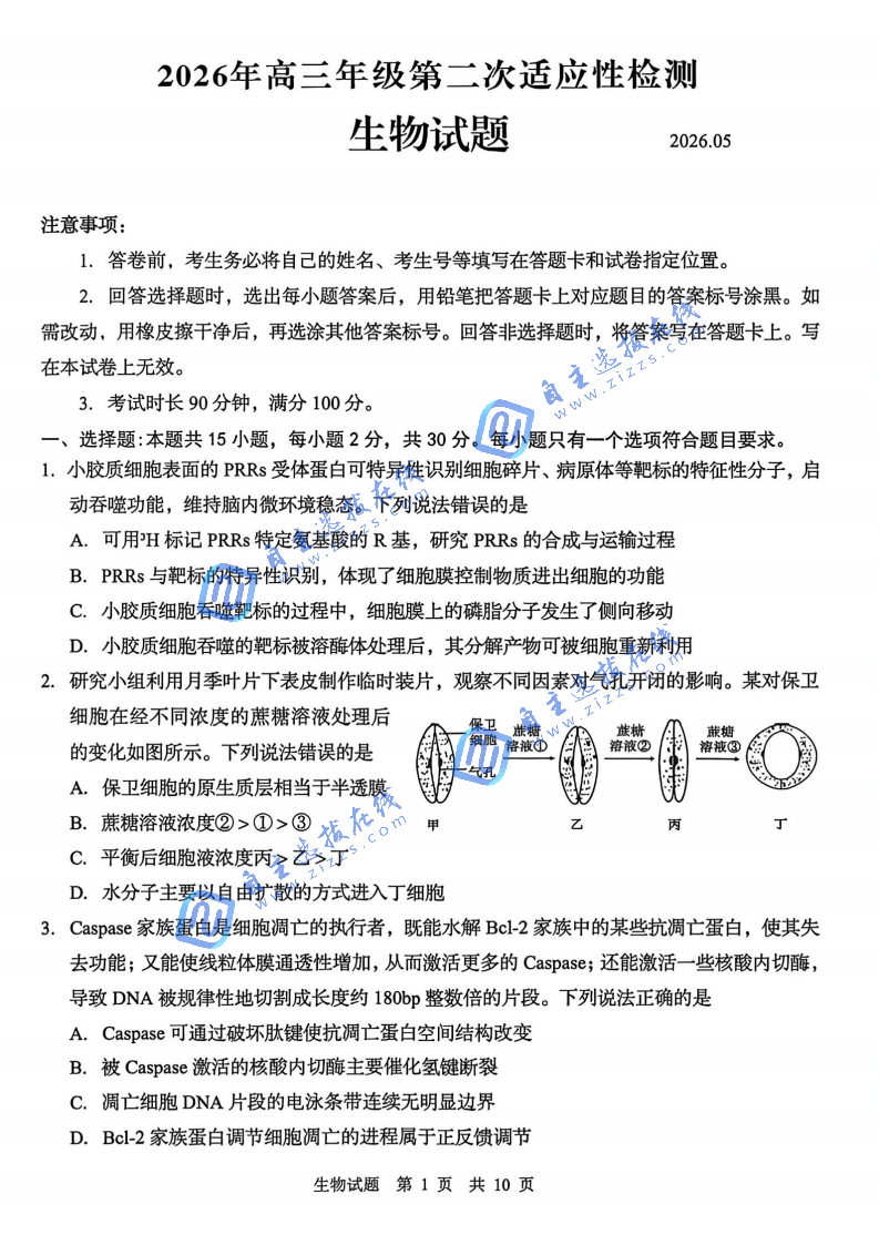 2026年青岛高三二模生物试题及答案