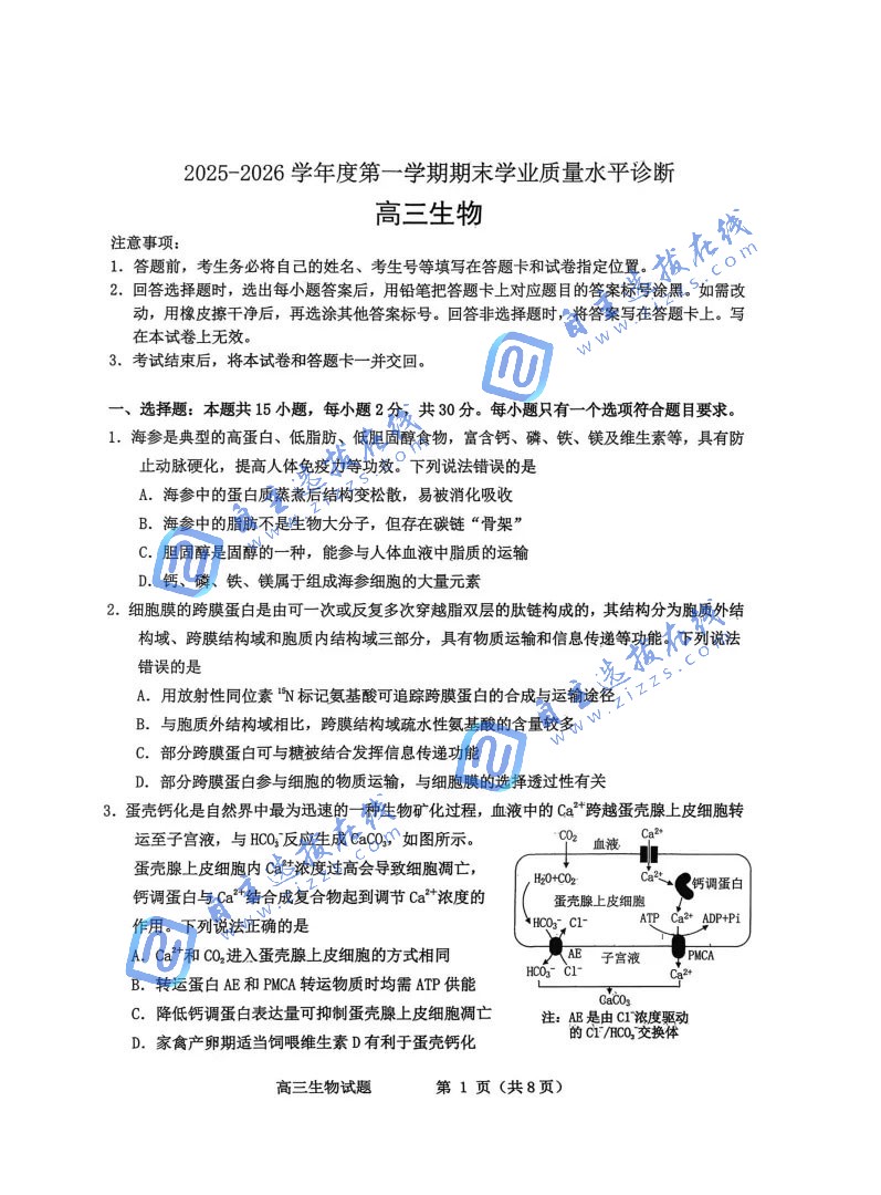 山东烟台2026届高三期末生物试题及答案